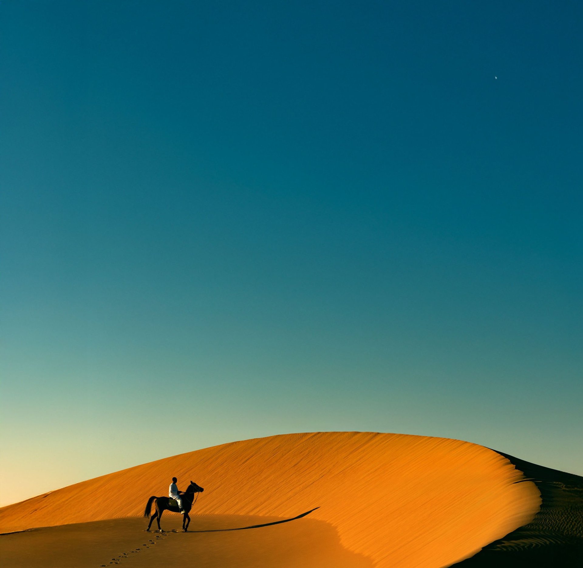 black and brown leather padded tub sofa