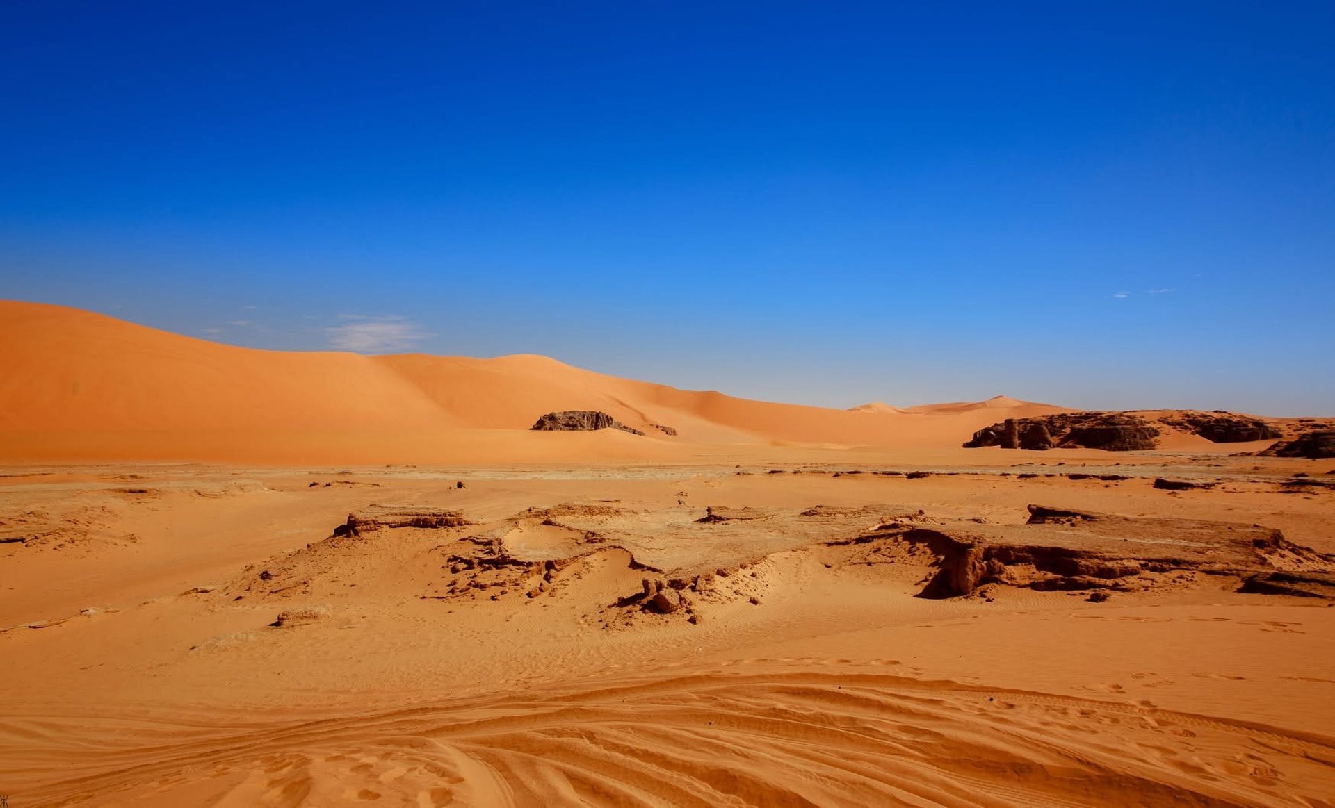 an abstract photo of a curved building with a blue sky in the background