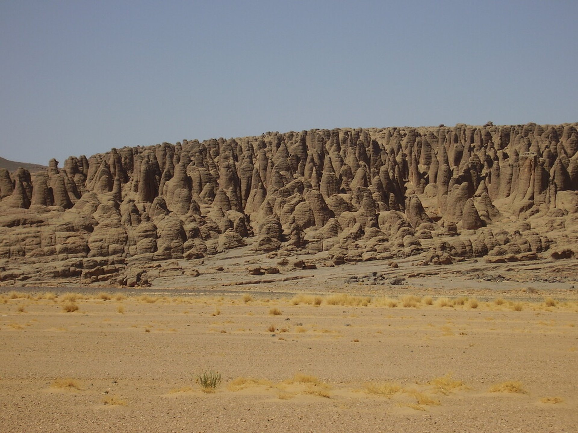 an abstract photo of a curved building with a blue sky in the background