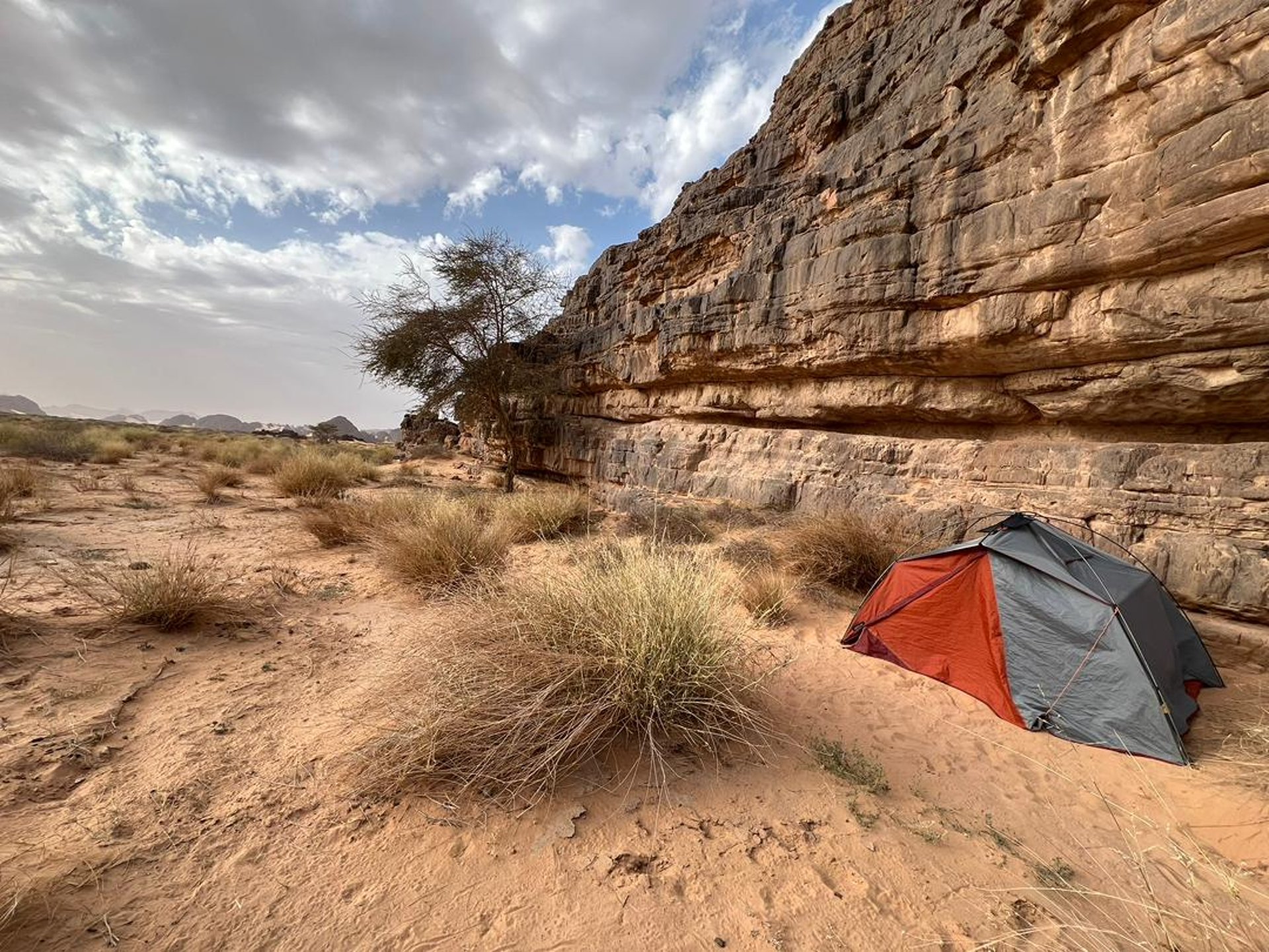 an abstract photo of a curved building with a blue sky in the background