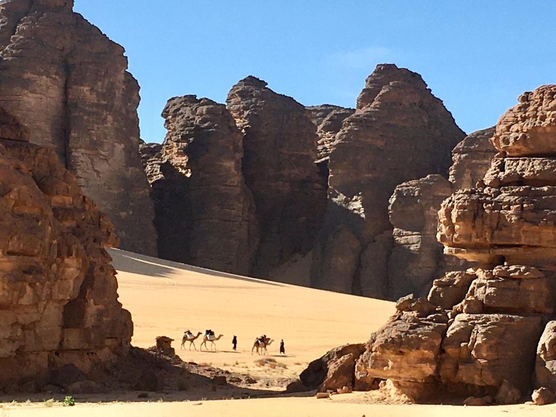 an abstract photo of a curved building with a blue sky in the background