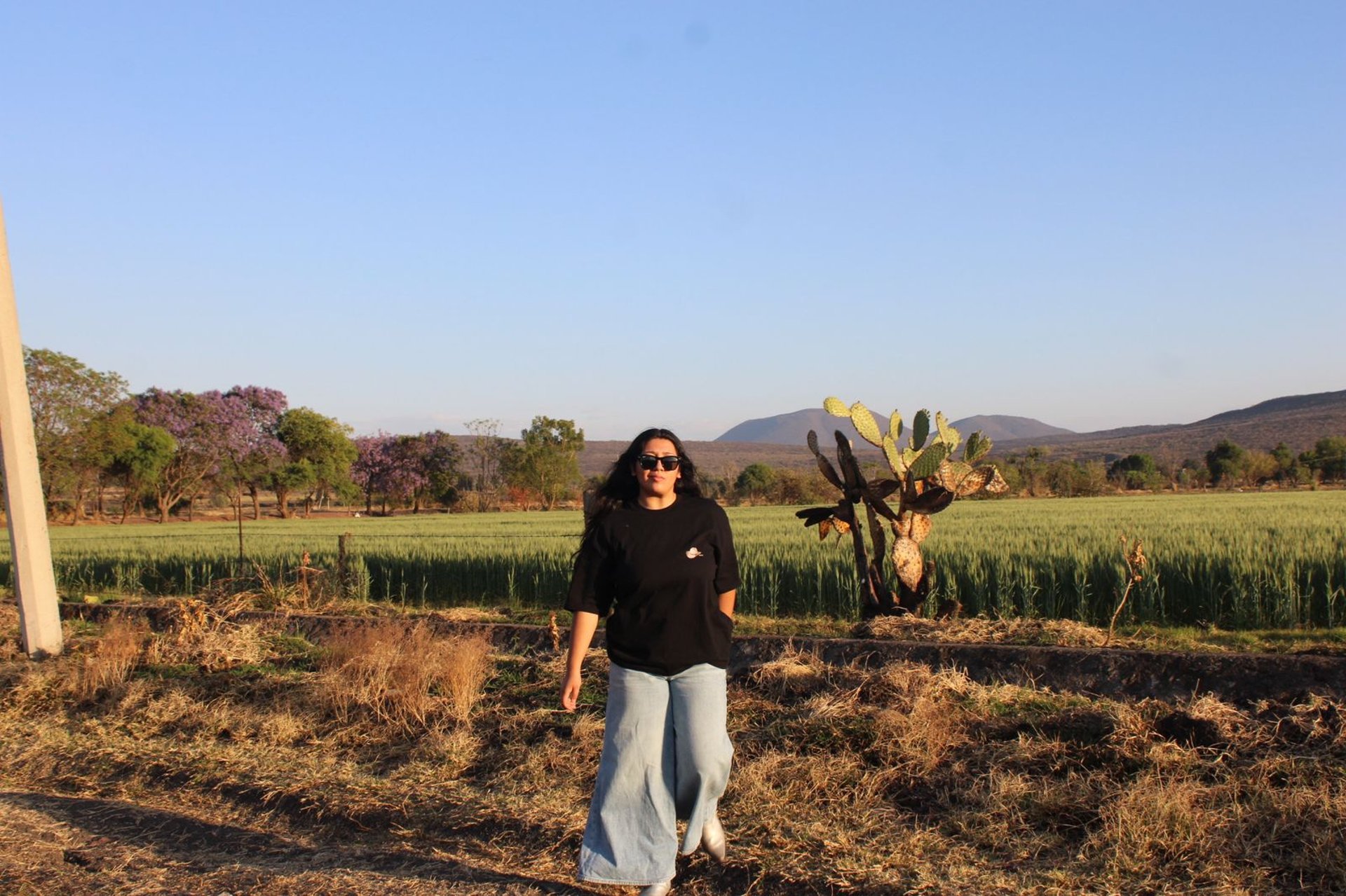 green grass field under cloudy sky during daytime