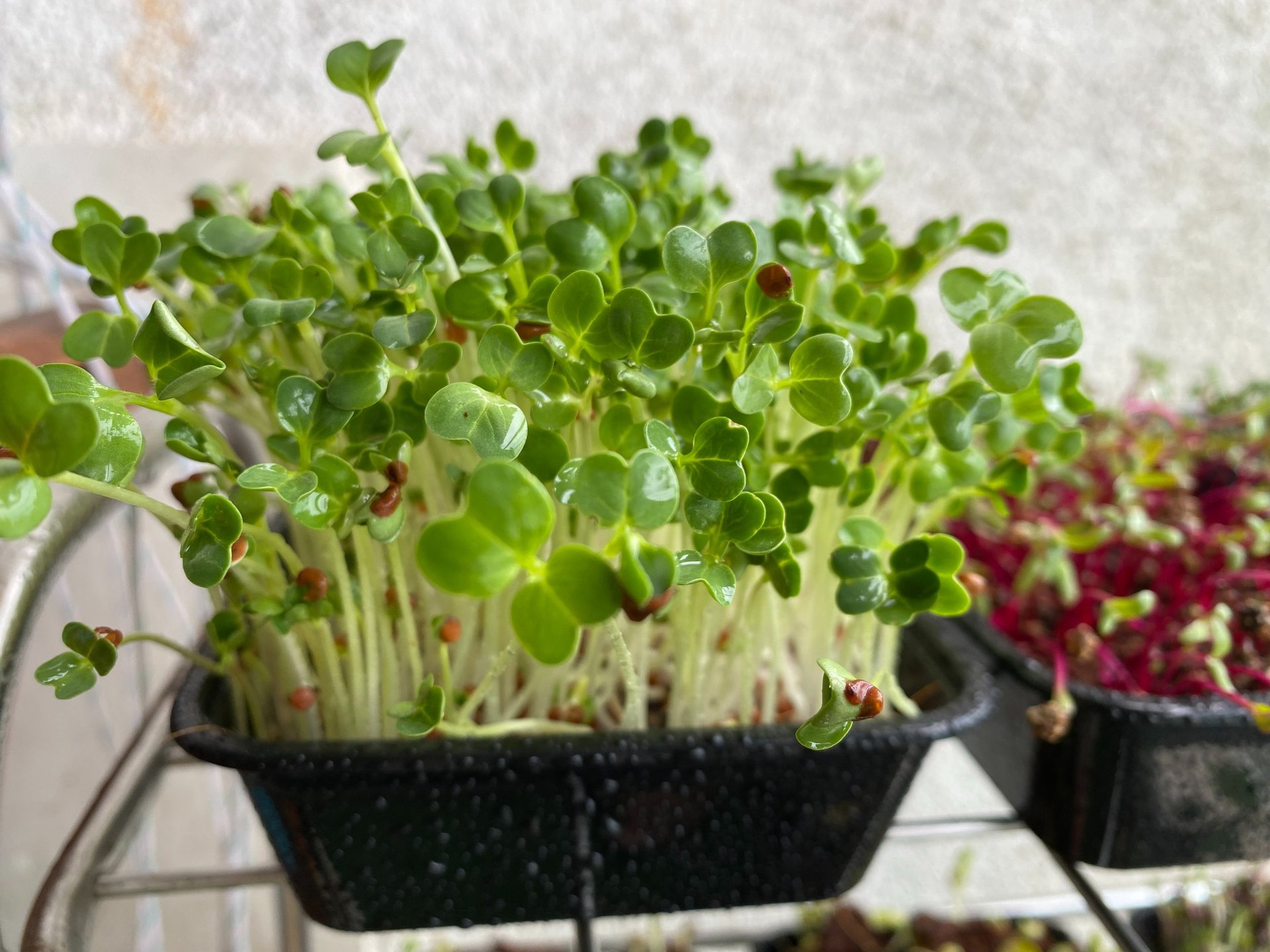 an abstract photo of a curved building with a blue sky in the background