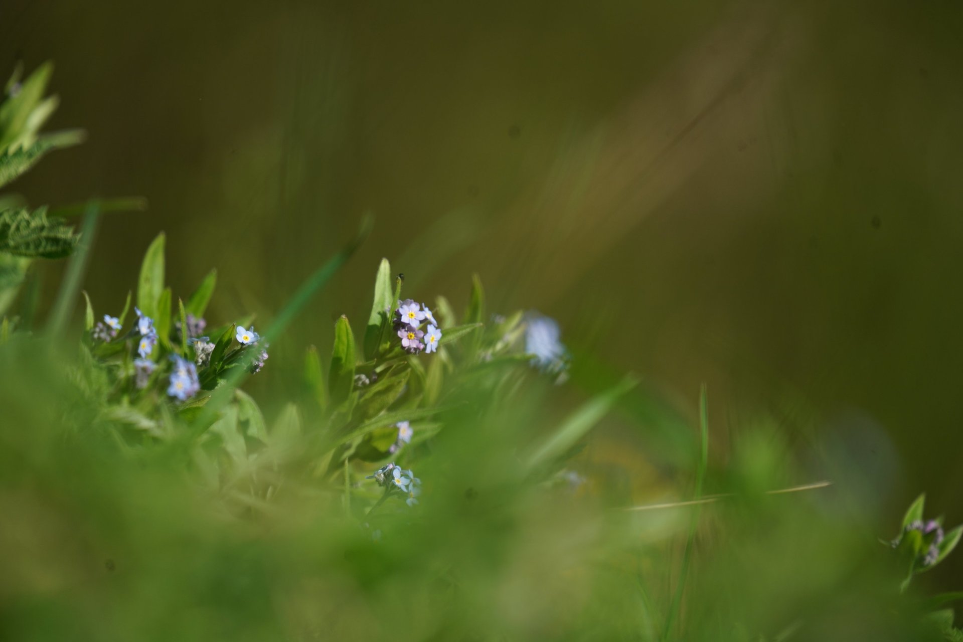 gray computer monitor