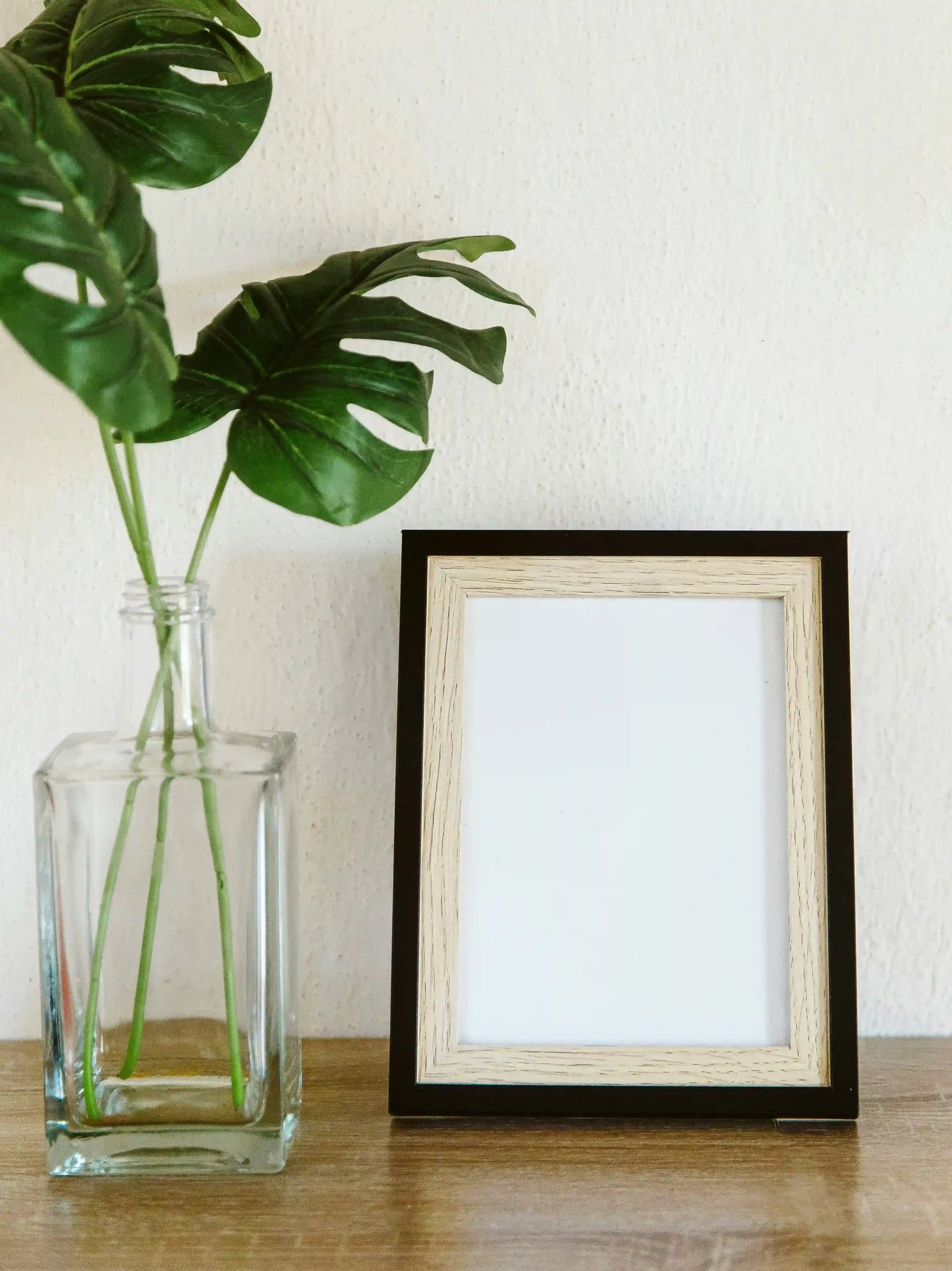 Empty picture frame with vase and plant, symbolizing reframing practice to shift perspective.