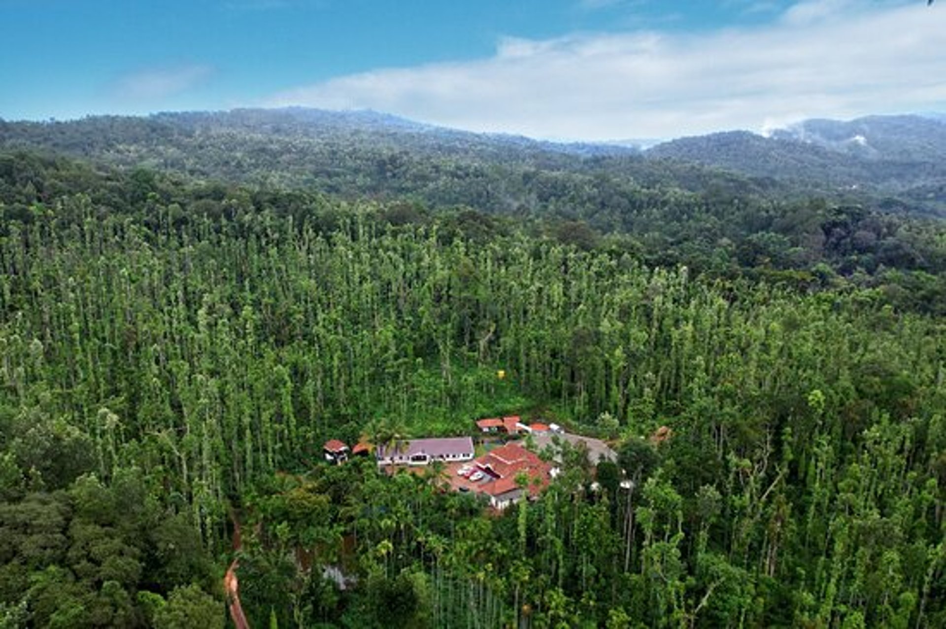 gray computer monitor