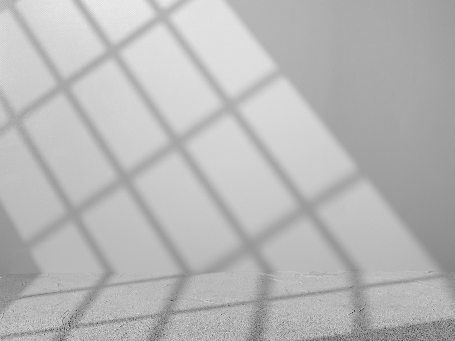 A plant casts a shadow on a wall