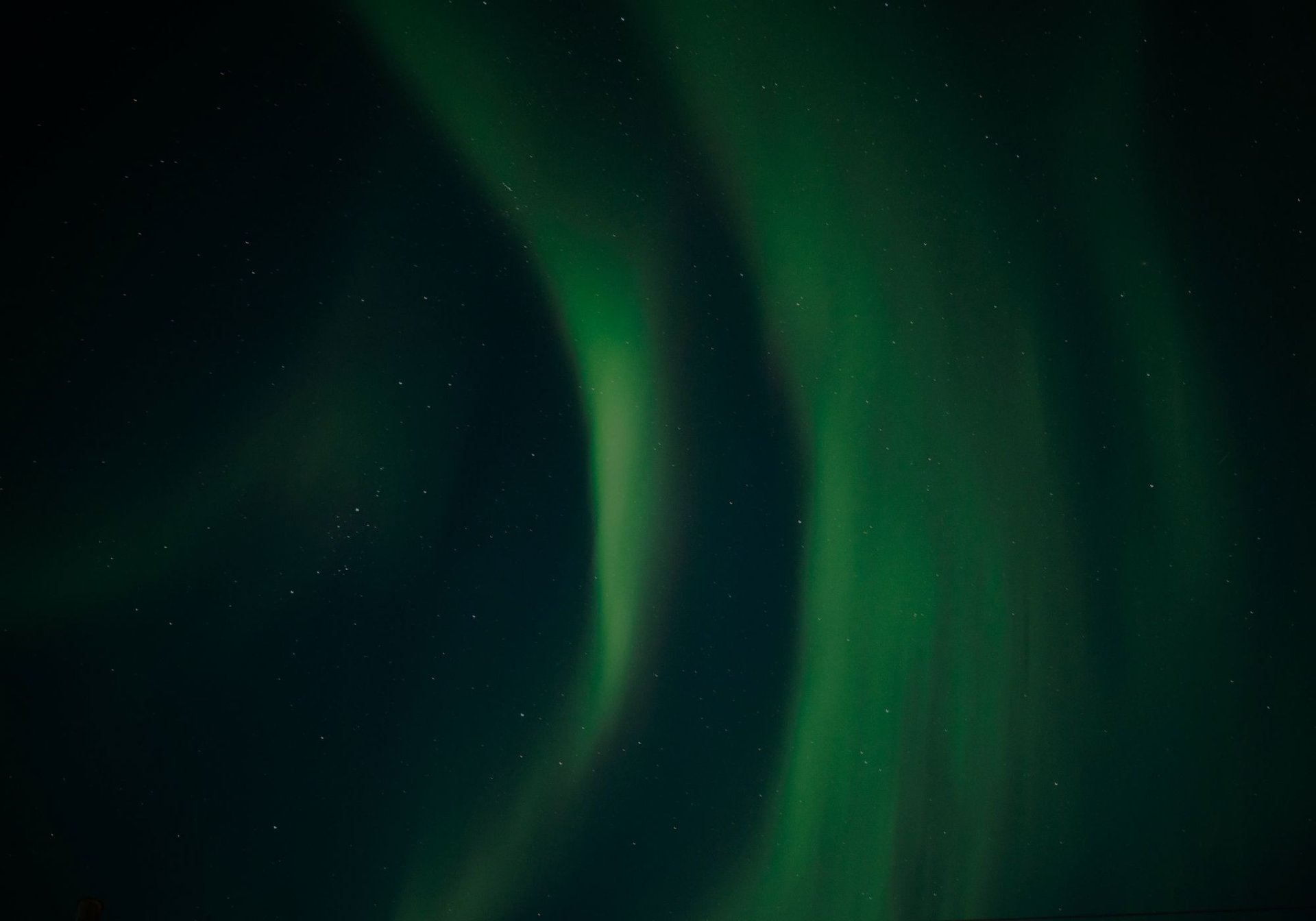 a tooth with a blue toothbrush in it