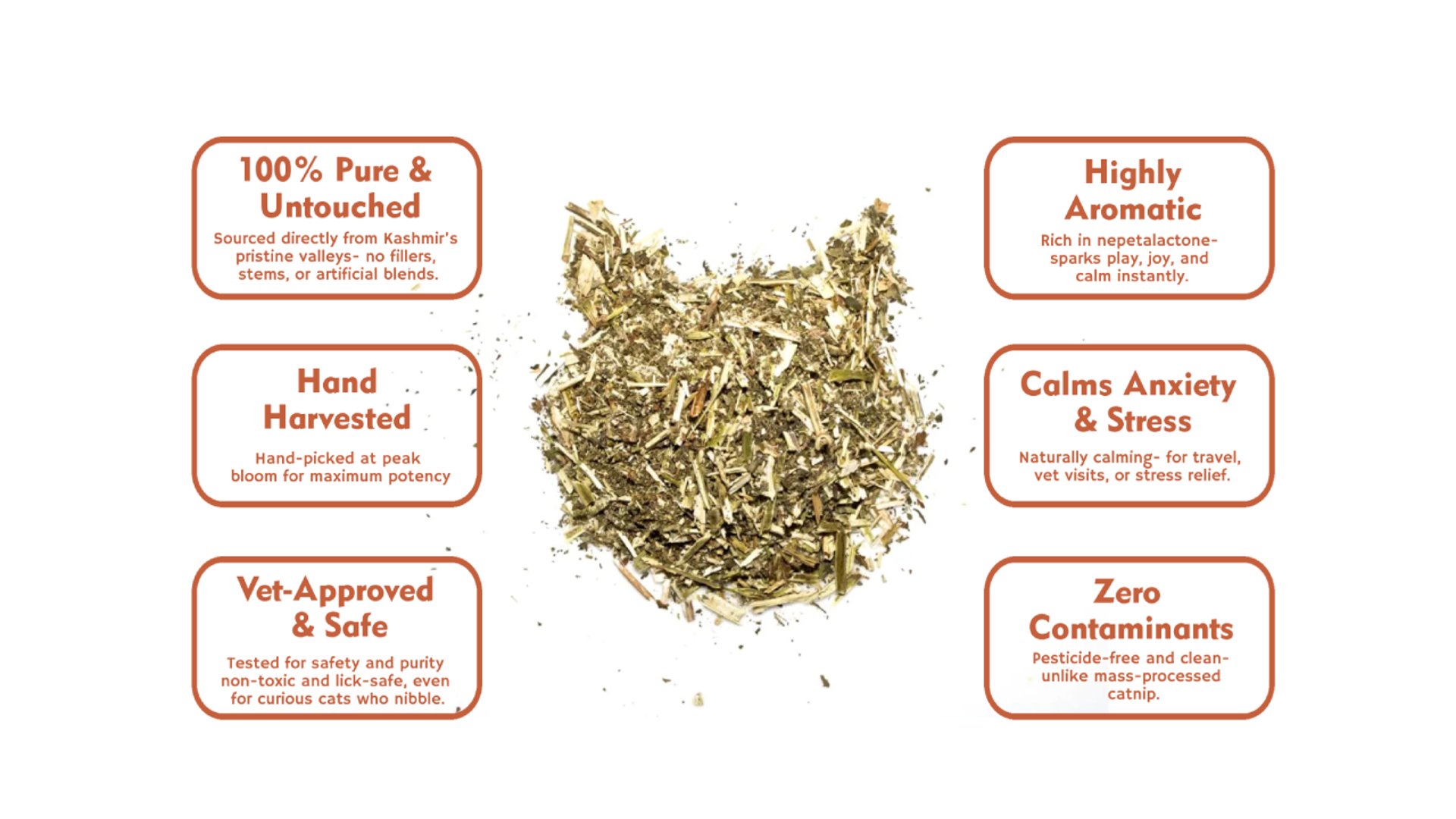 an image showing Gigo's Catnip qualities