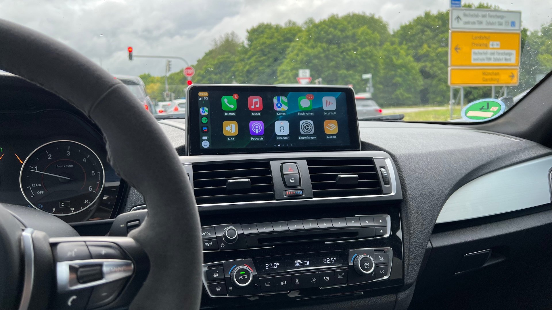 woman holding dried flower