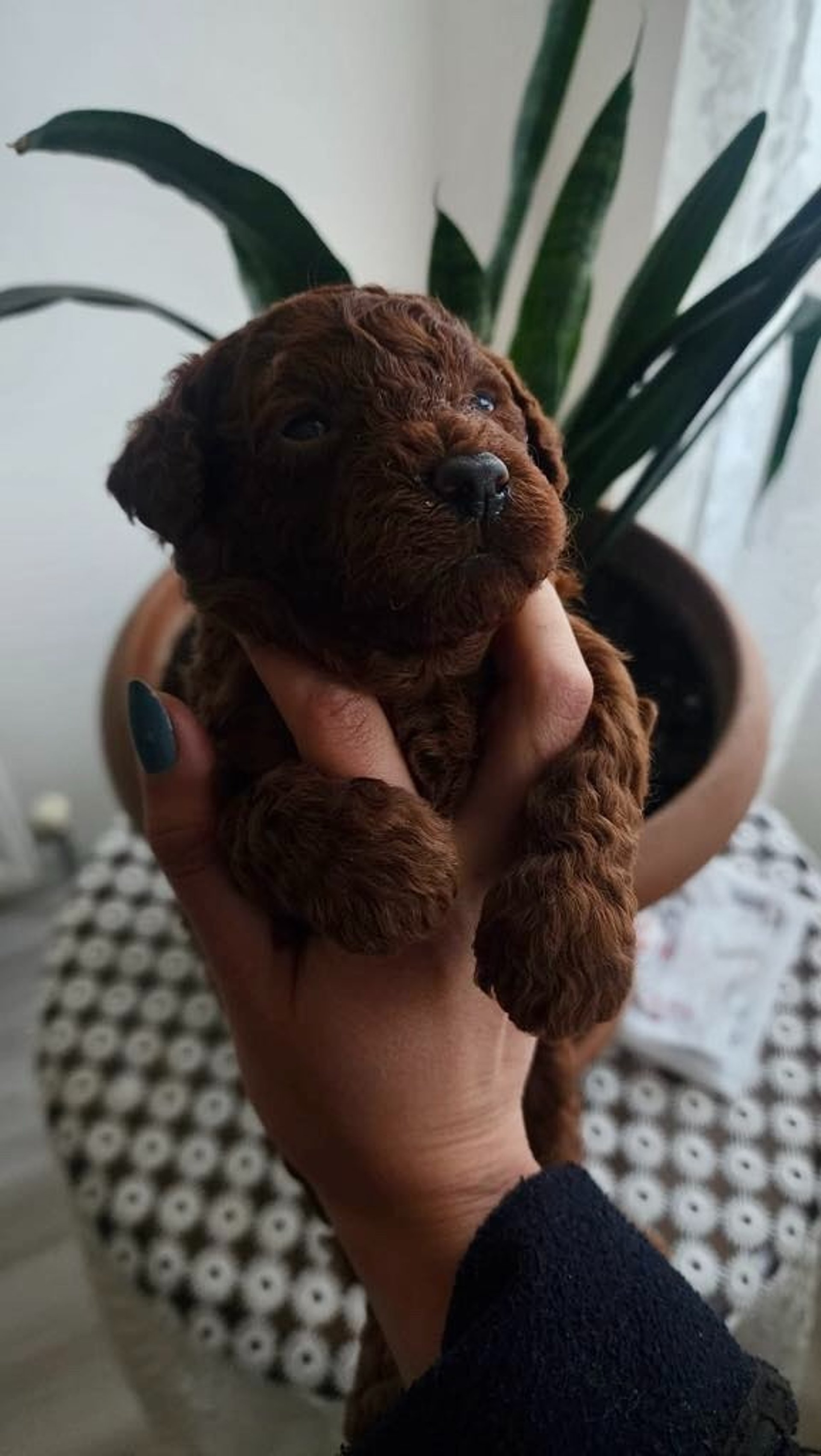 an abstract photo of a curved building with a blue sky in the background