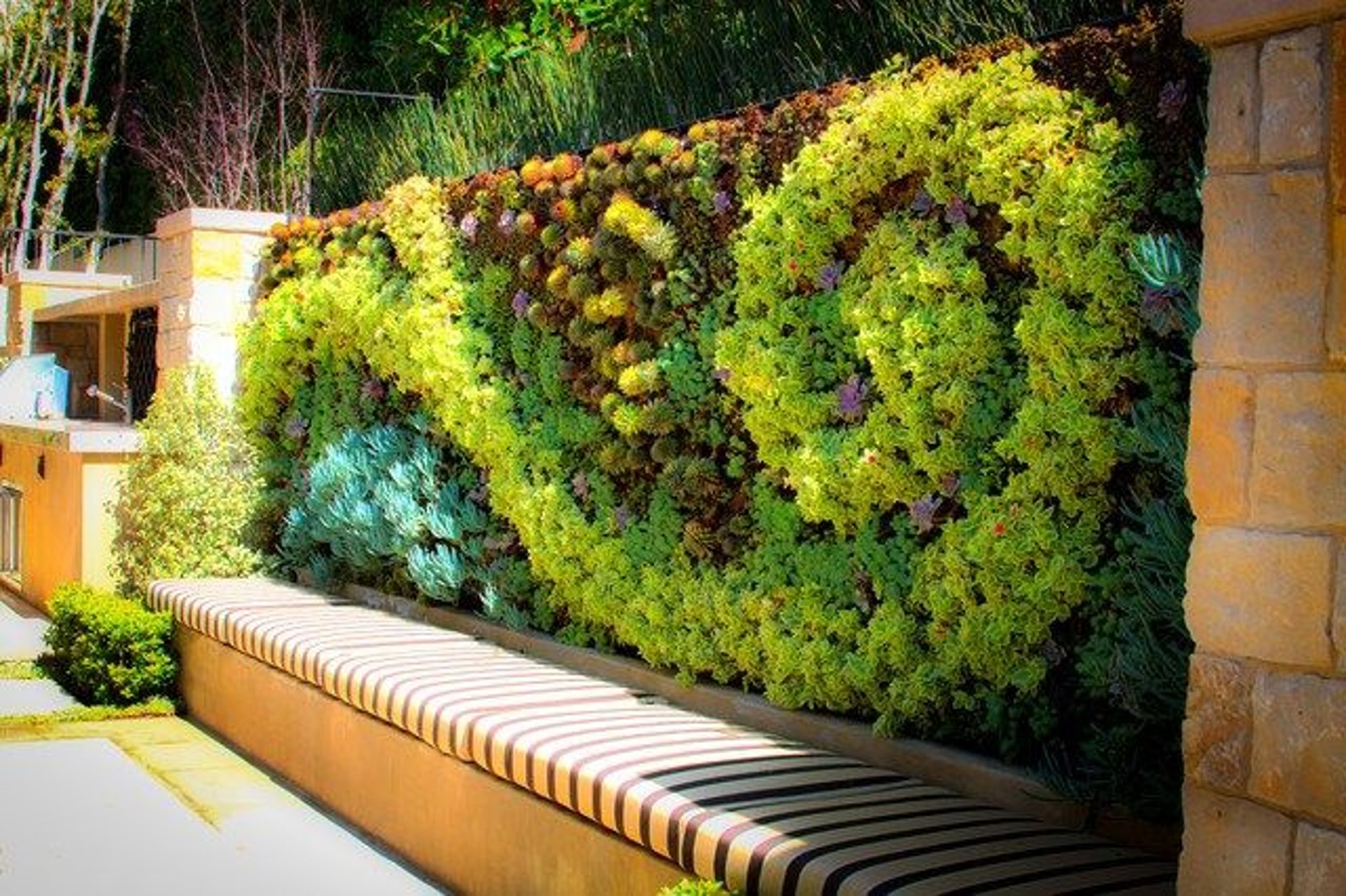 A lush, vibrant, low-maintenance vertical garden by FM Landscaping for farm house
