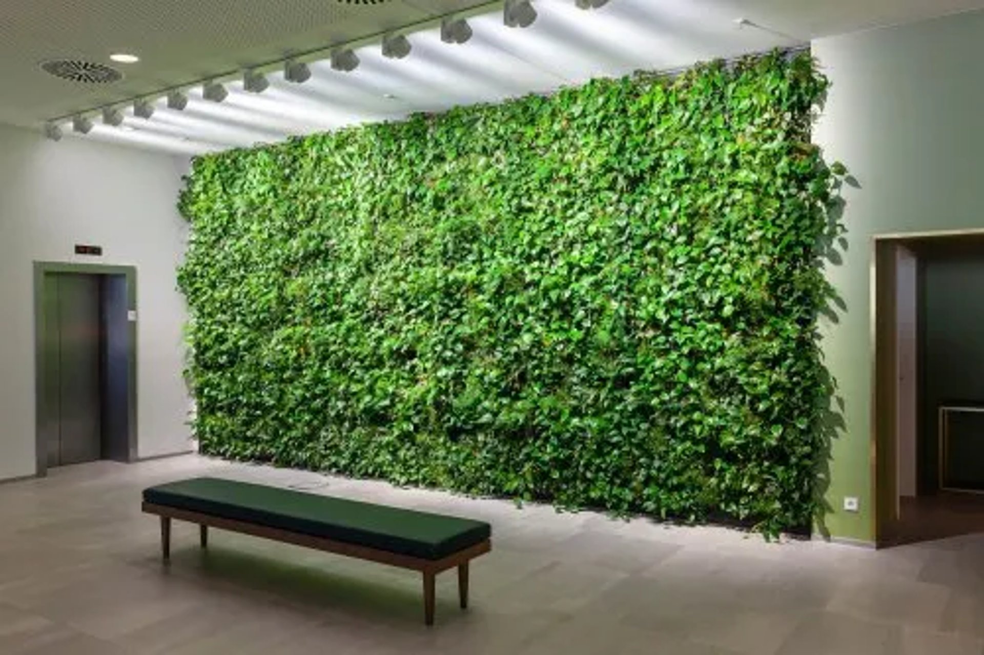 A lush, vibrant, low-maintenance vertical garden by FM Landscaping office space