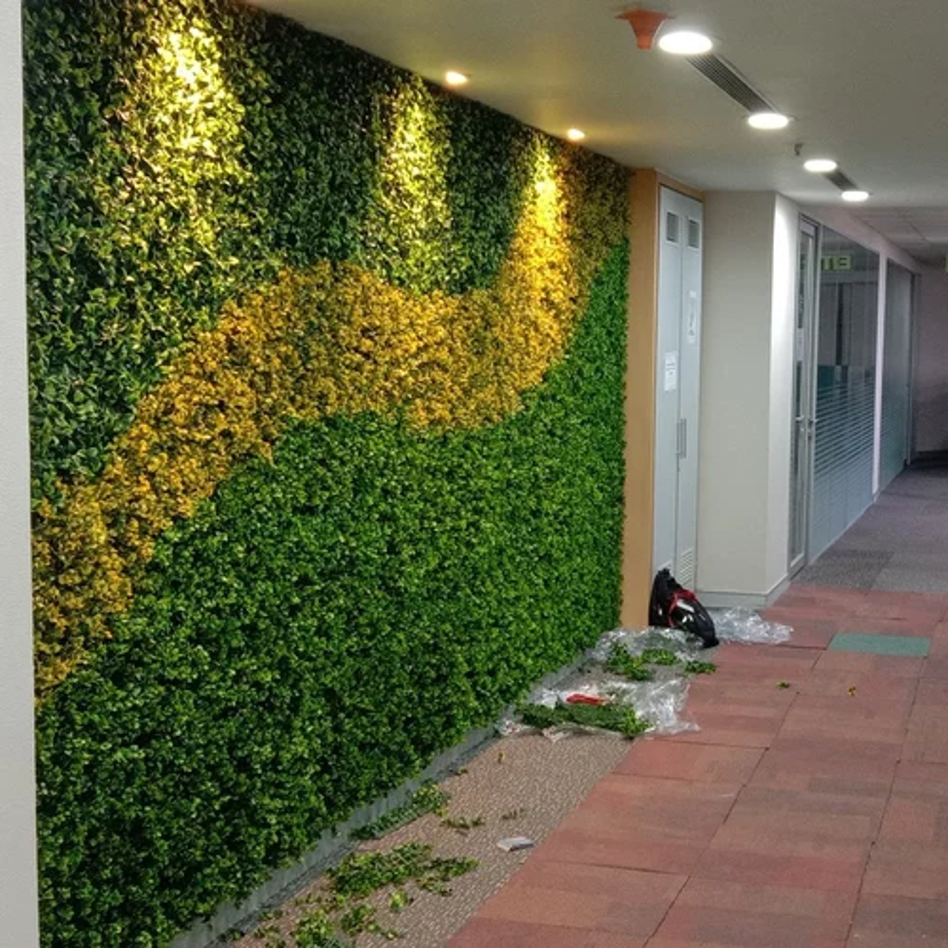 A lush, vibrant, low-maintenance vertical garden by FM Landscaping for office
