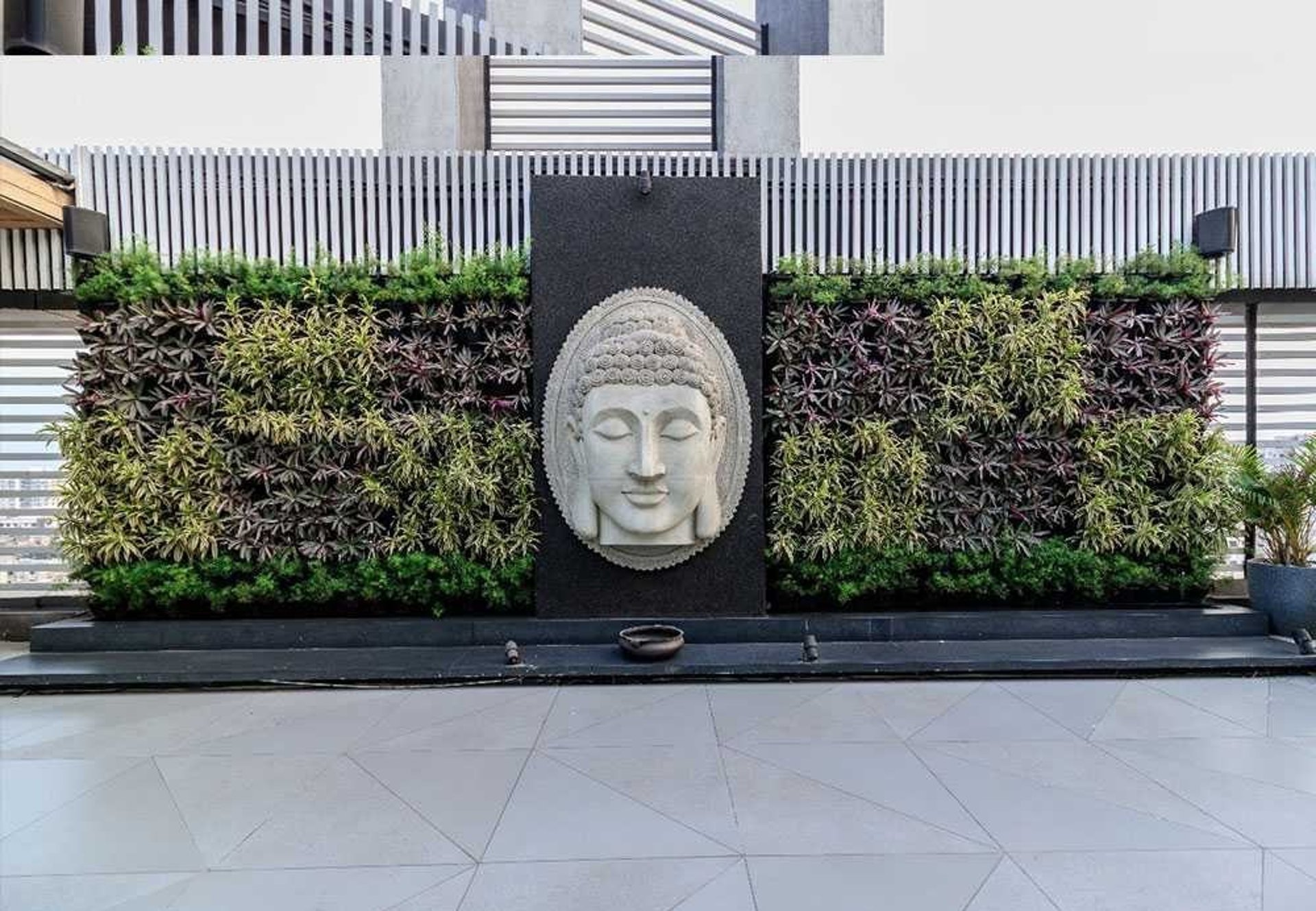 A lush, vibrant, low-maintenance vertical garden by FM Landscaping for resort