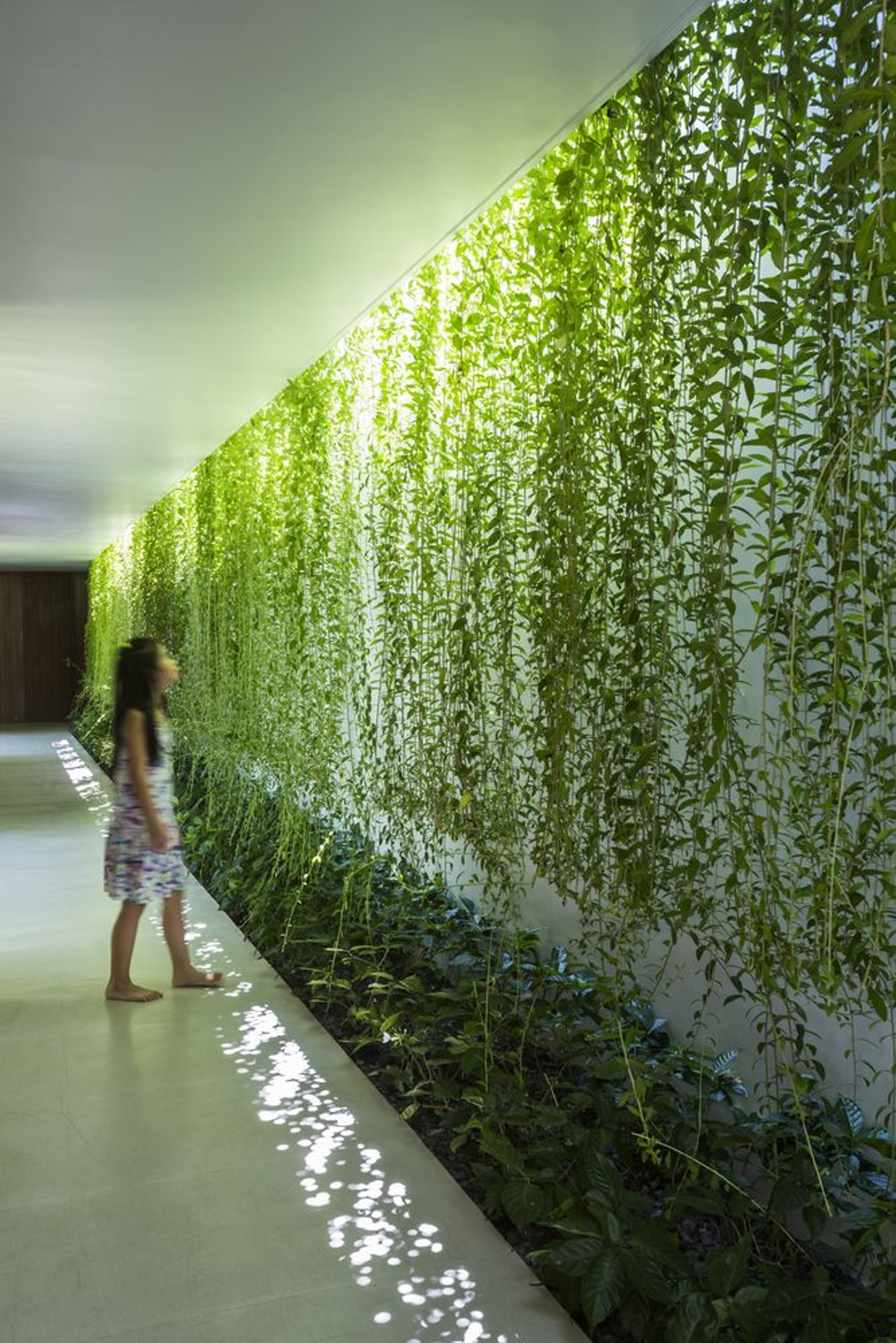 A lush, vibrant, low-maintenance vertical garden by FM Landscaping for hotel