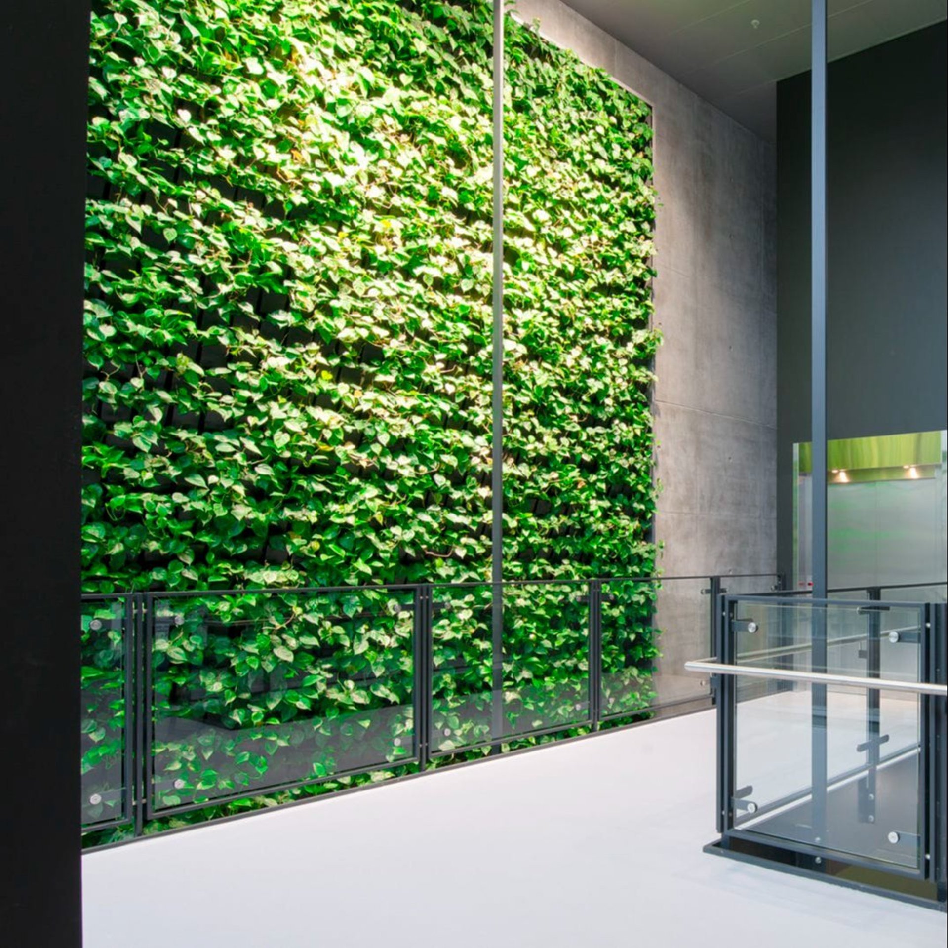 A lush, vibrant, low-maintenance vertical garden by FM Landscaping for resort