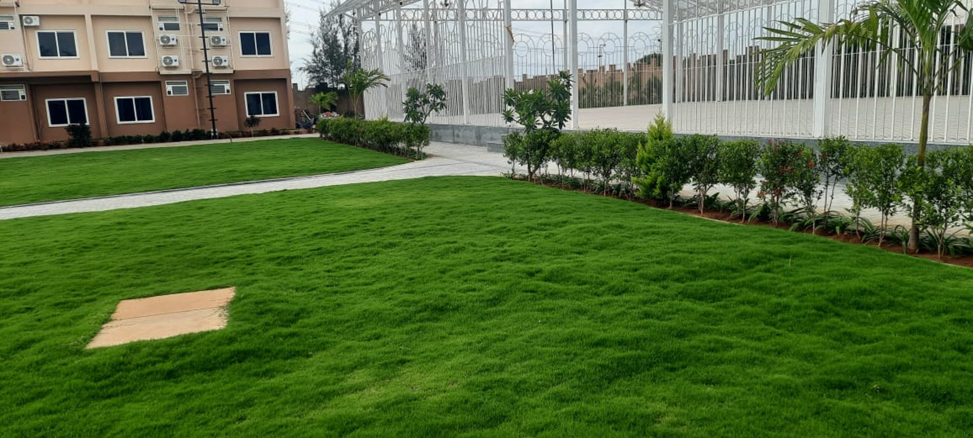 A lush vibrant mexican grass lawn at golden amoon resort by FM Landscaping 1