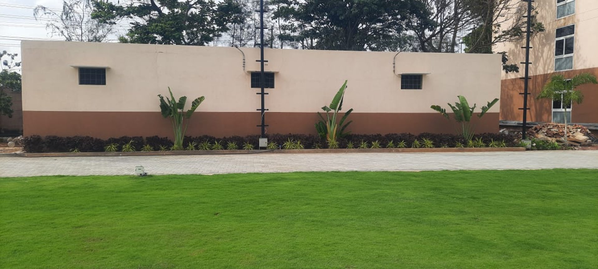 A lush vibrant mexican grass lawn at golden amoon resort by FM Landscaping 2