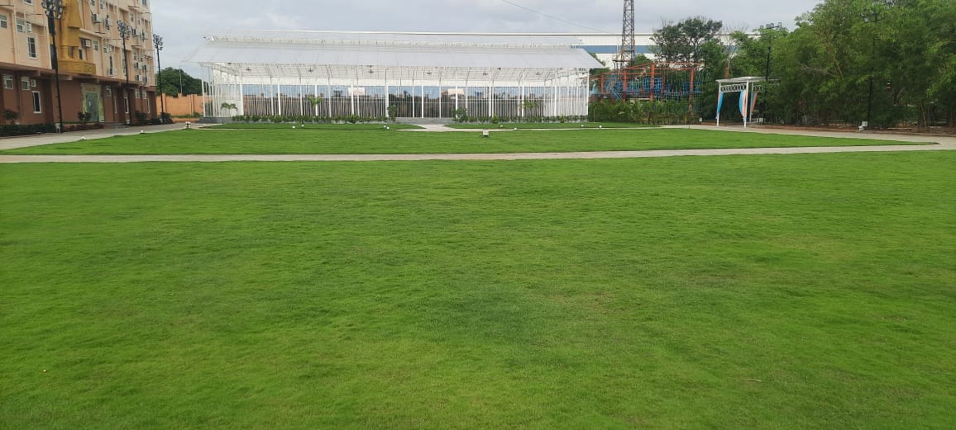 A lush vibrant mexican grass lawn at golden amoon resort by FM Landscaping 3