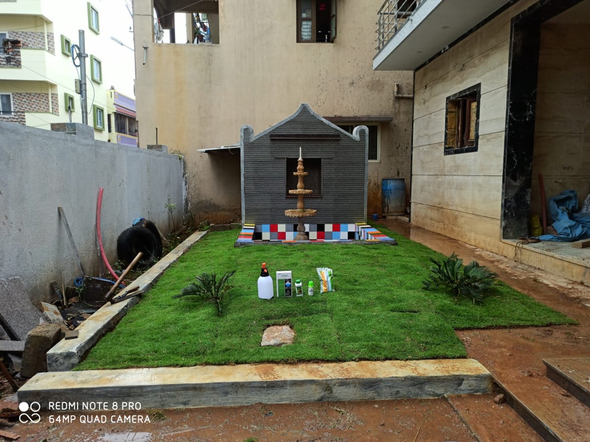 A lush vibrant mexican grass lawn at Bangalore residential front yard by FM Landscaping