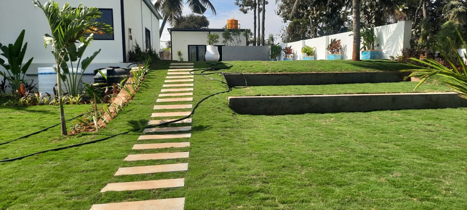 A lush vibrant mexican grass lawn at Bangalore villa by FM Landscaping