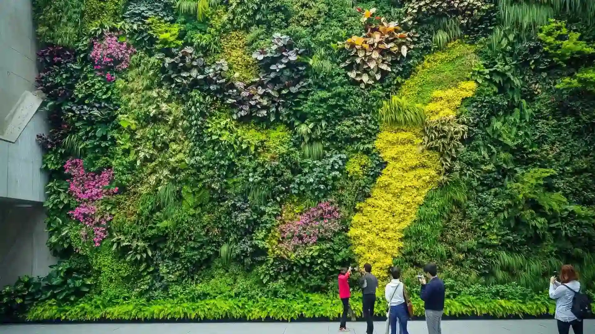 A lush, vibrant vertical garden on a modern building wall 16 * 9