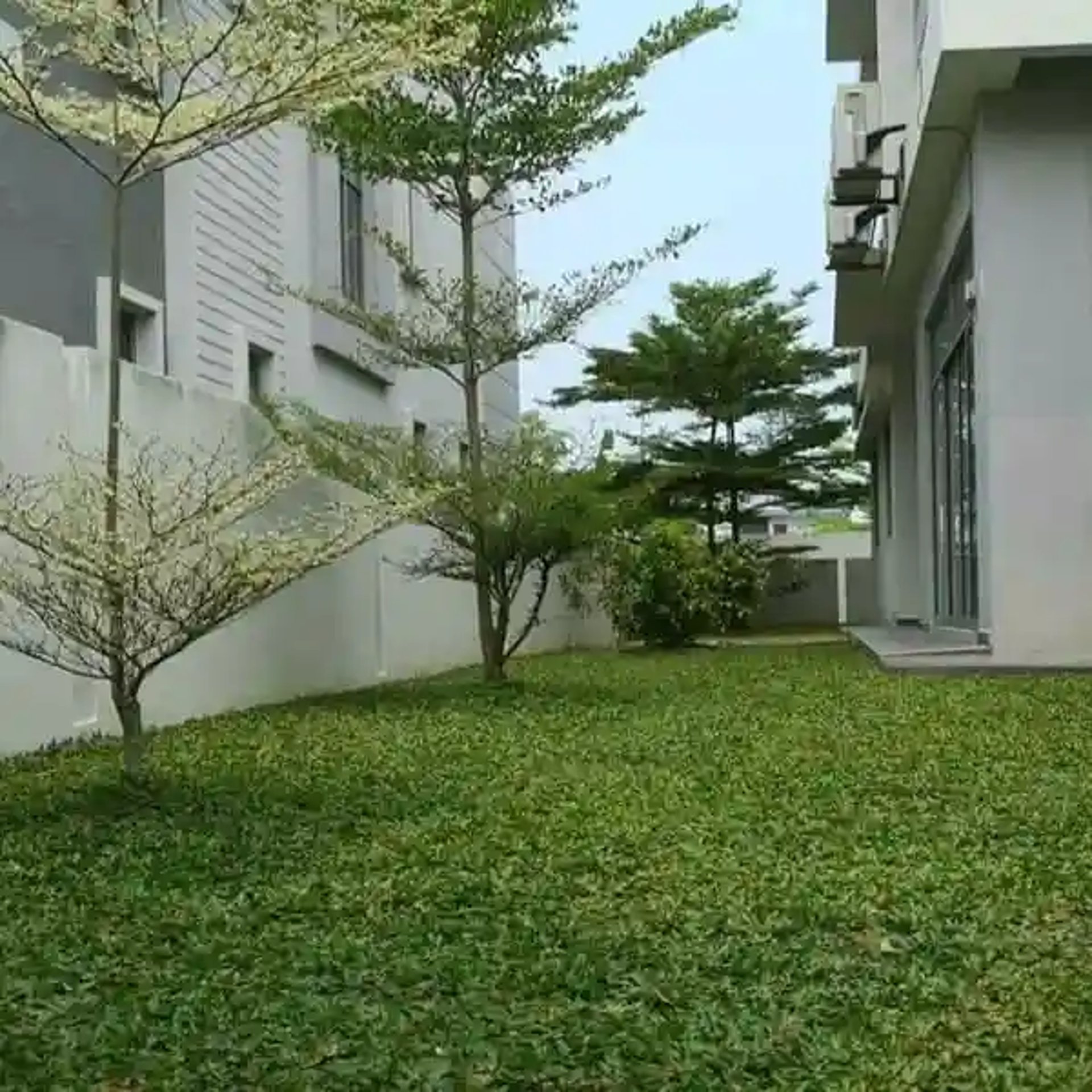 Beautiful Pearl Grass lawn installed by FM Landscaping in a villa backyard in Bangalore
