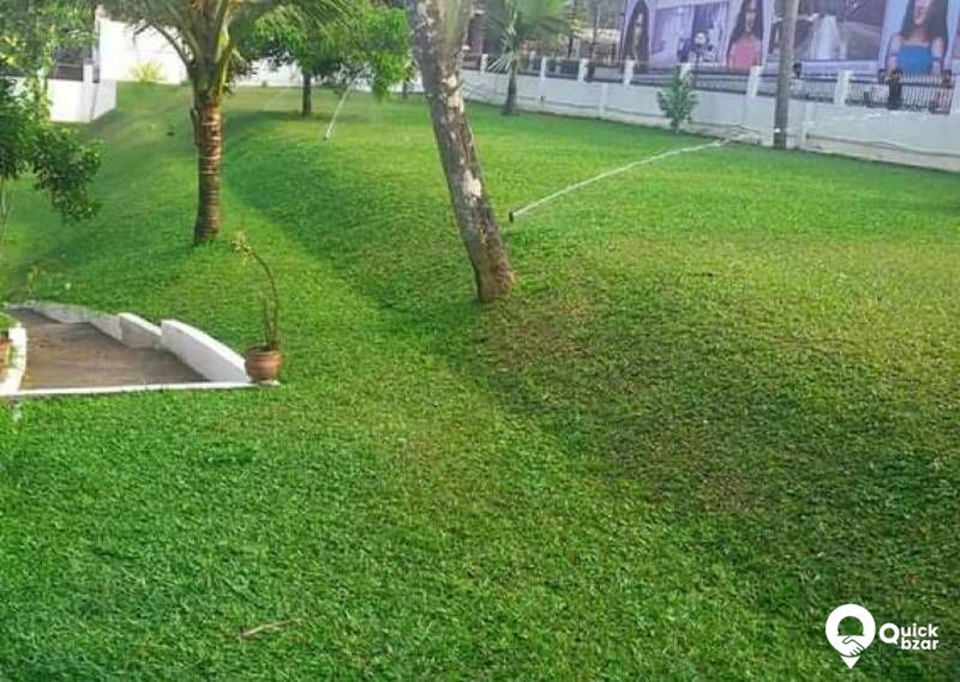 Beautiful Pearl Grass lawn installed by FM Landscaping in office premise in Bangalore