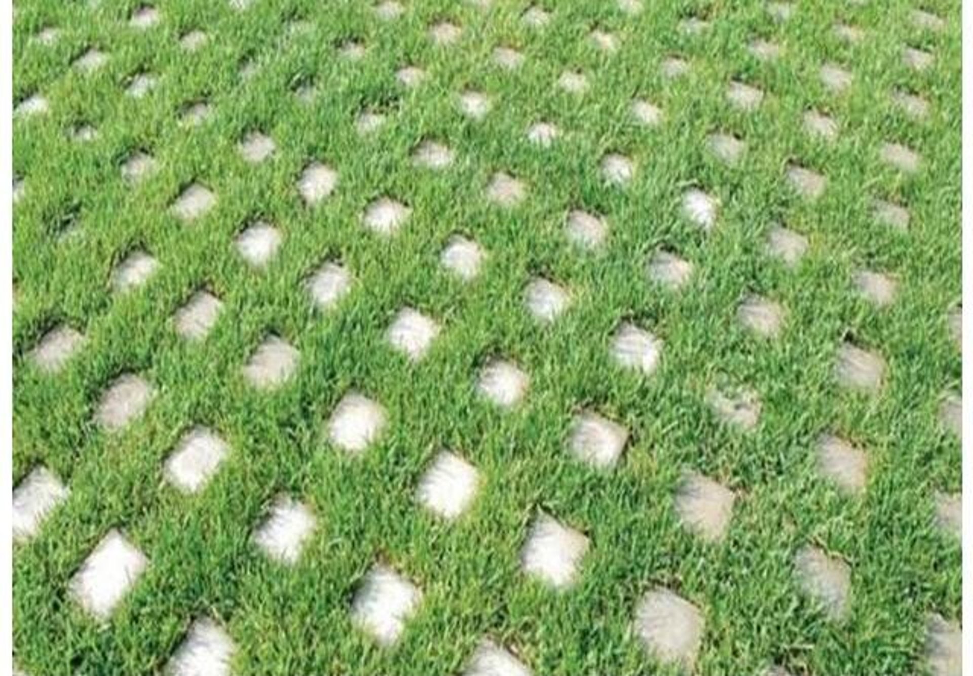 Beautiful Pearl Grass pathway installed by FM Landscaping in commercial place