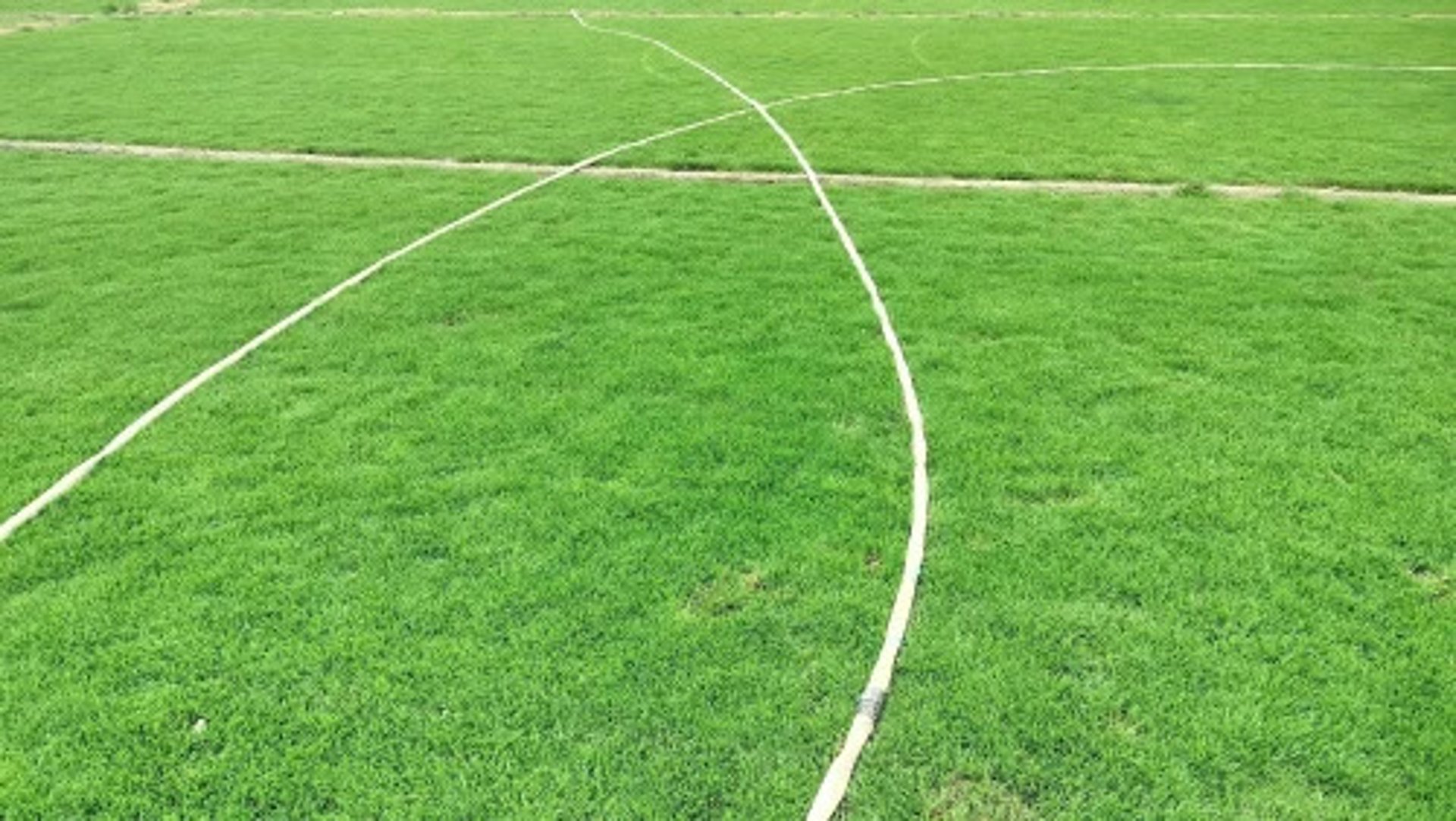 FM Landscaping producing high quality bermuda grass at own farm in Bangalore