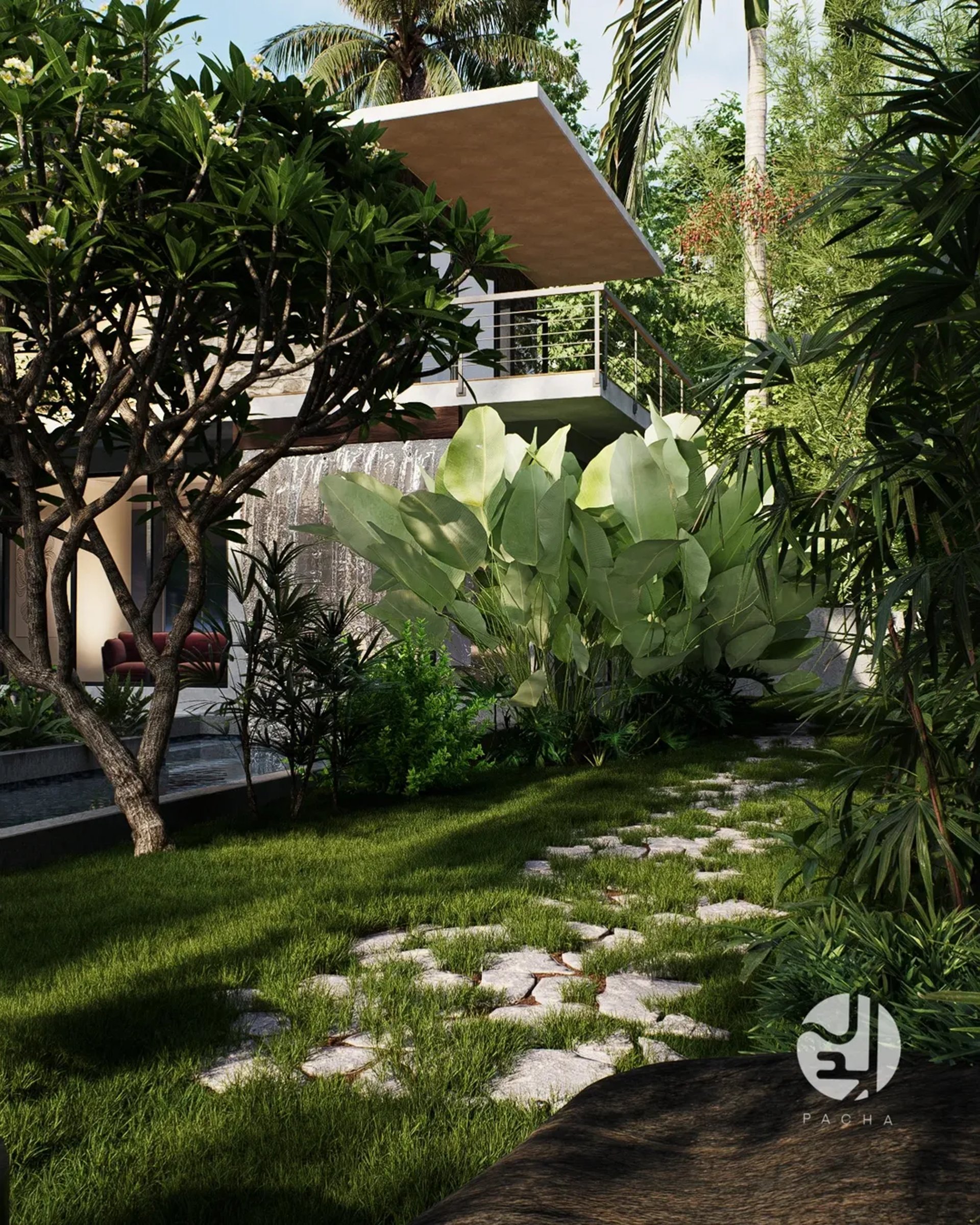 Shade-tolerant Pearl Grass in a Bangalore backyard - View 3