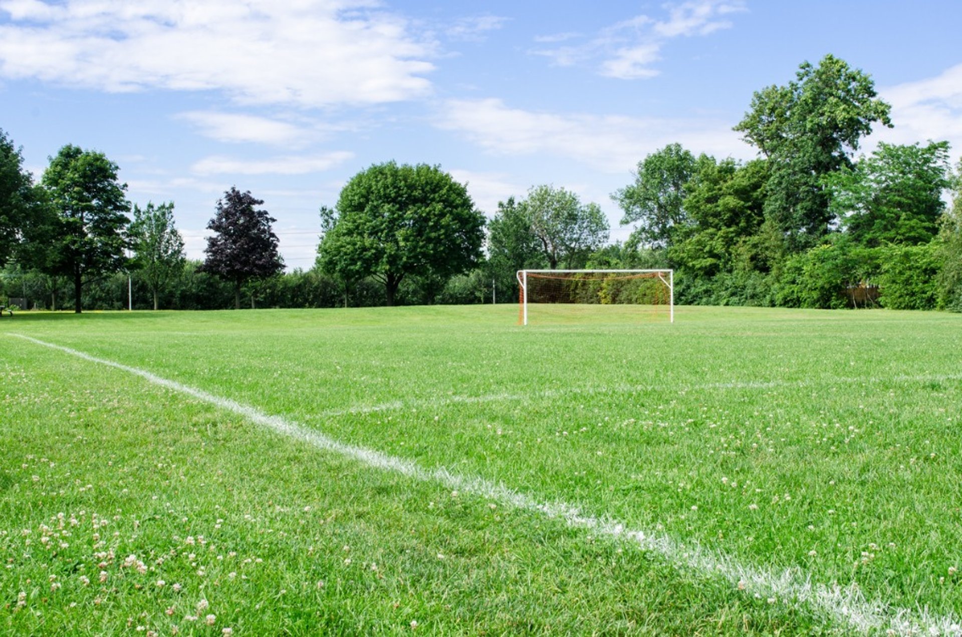 Soccer Ground by FM Landscaping with High-traffic Premium Bermuda Grass Lawn, perfect for durability and rapid recovery