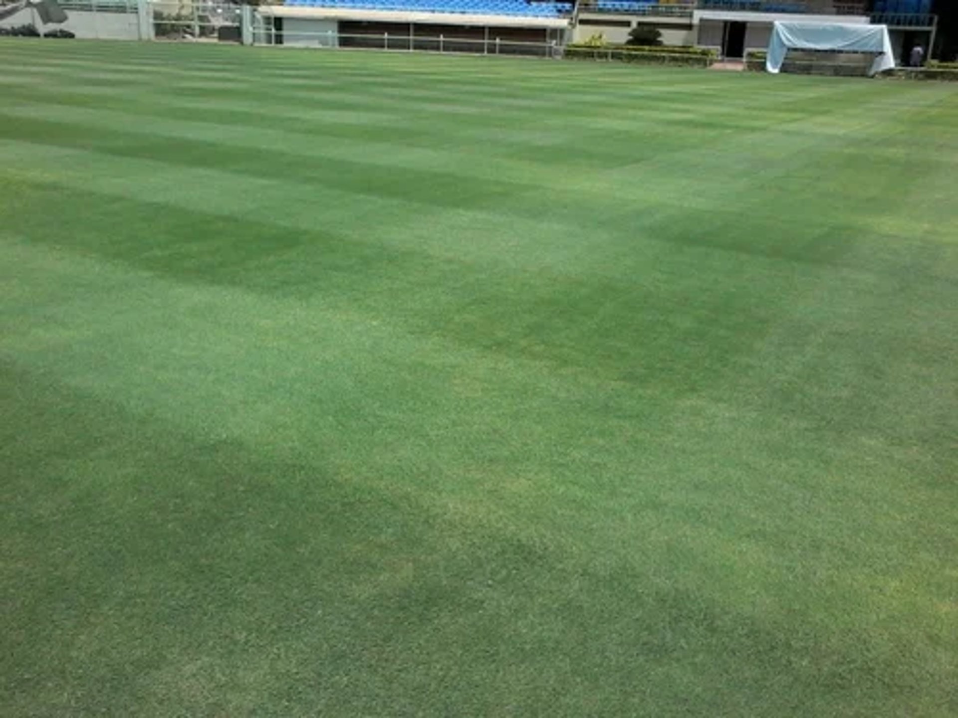 Soccer Ground by FM Landscaping with High-traffic Premium Bermuda Grass Lawn, perfect for durability and rapid recovery 