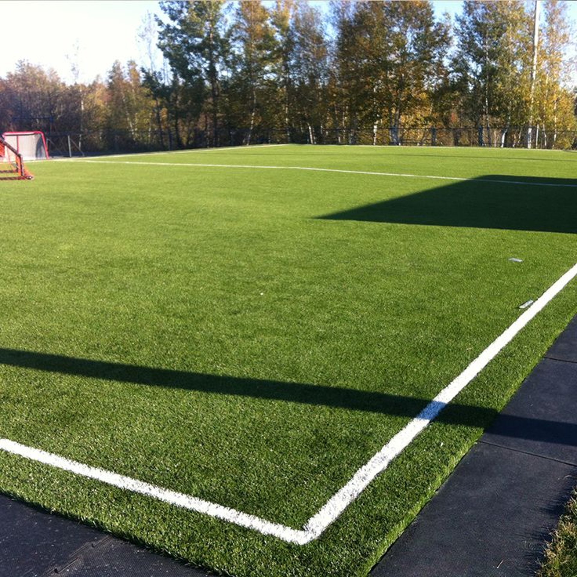 Sports field by FM Landscaping with High-traffic Premium Bermuda Grass Lawn, perfect for durability and rapid recovery