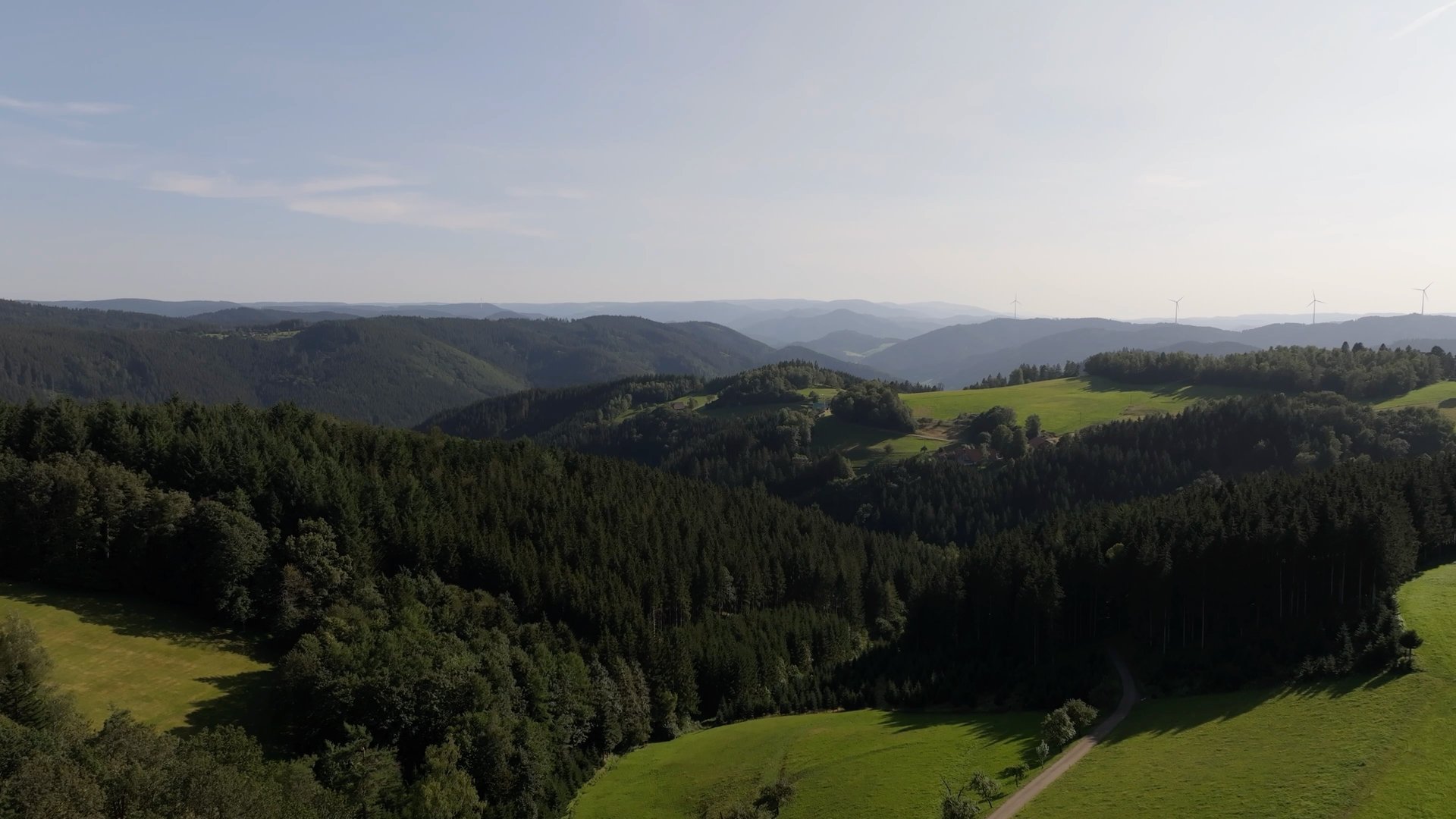 bird's-eye view of snow covered forest