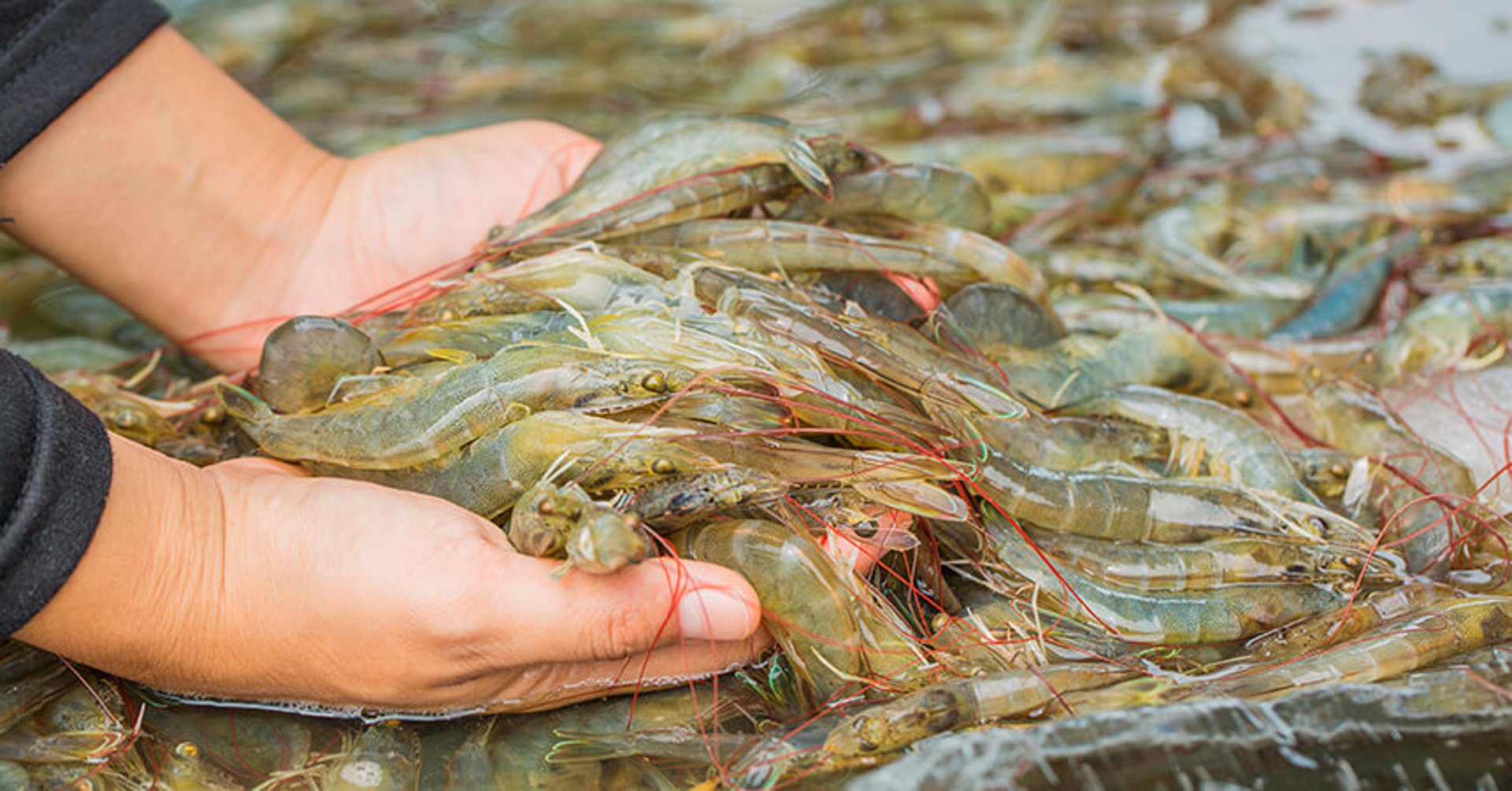 woman wearing yellow long-sleeved dress under white clouds and blue sky during daytime