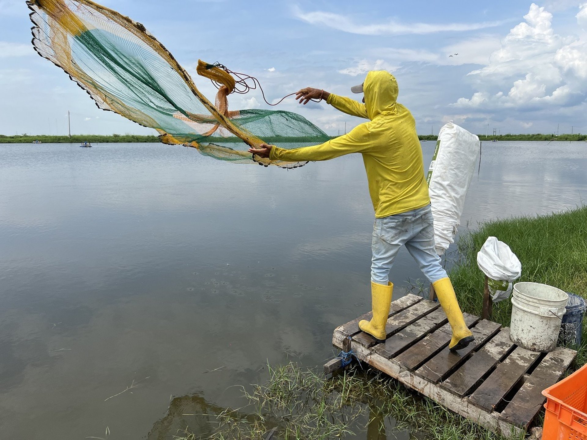 woman wearing yellow long-sleeved dress under white clouds and blue sky during daytime