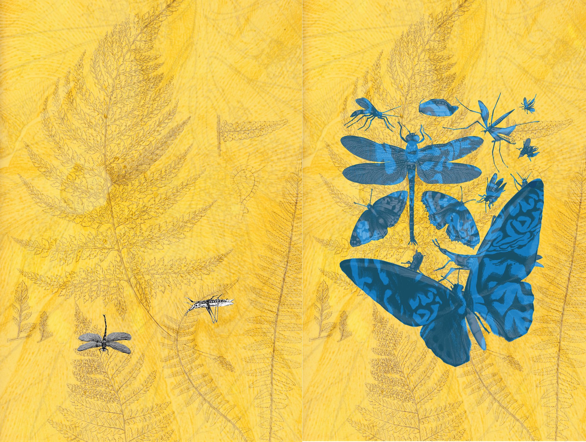 black and white bed linen