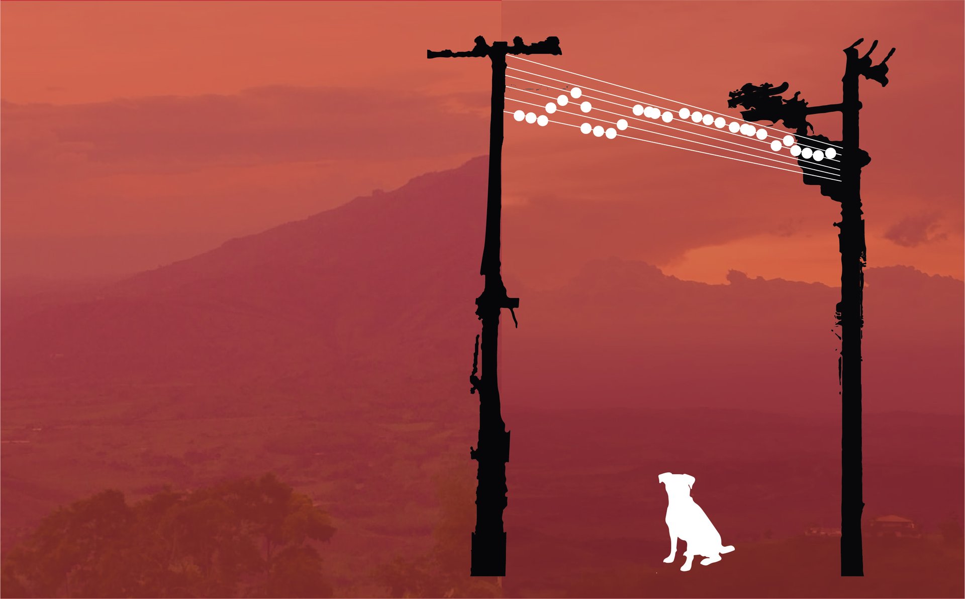 black and white bed linen