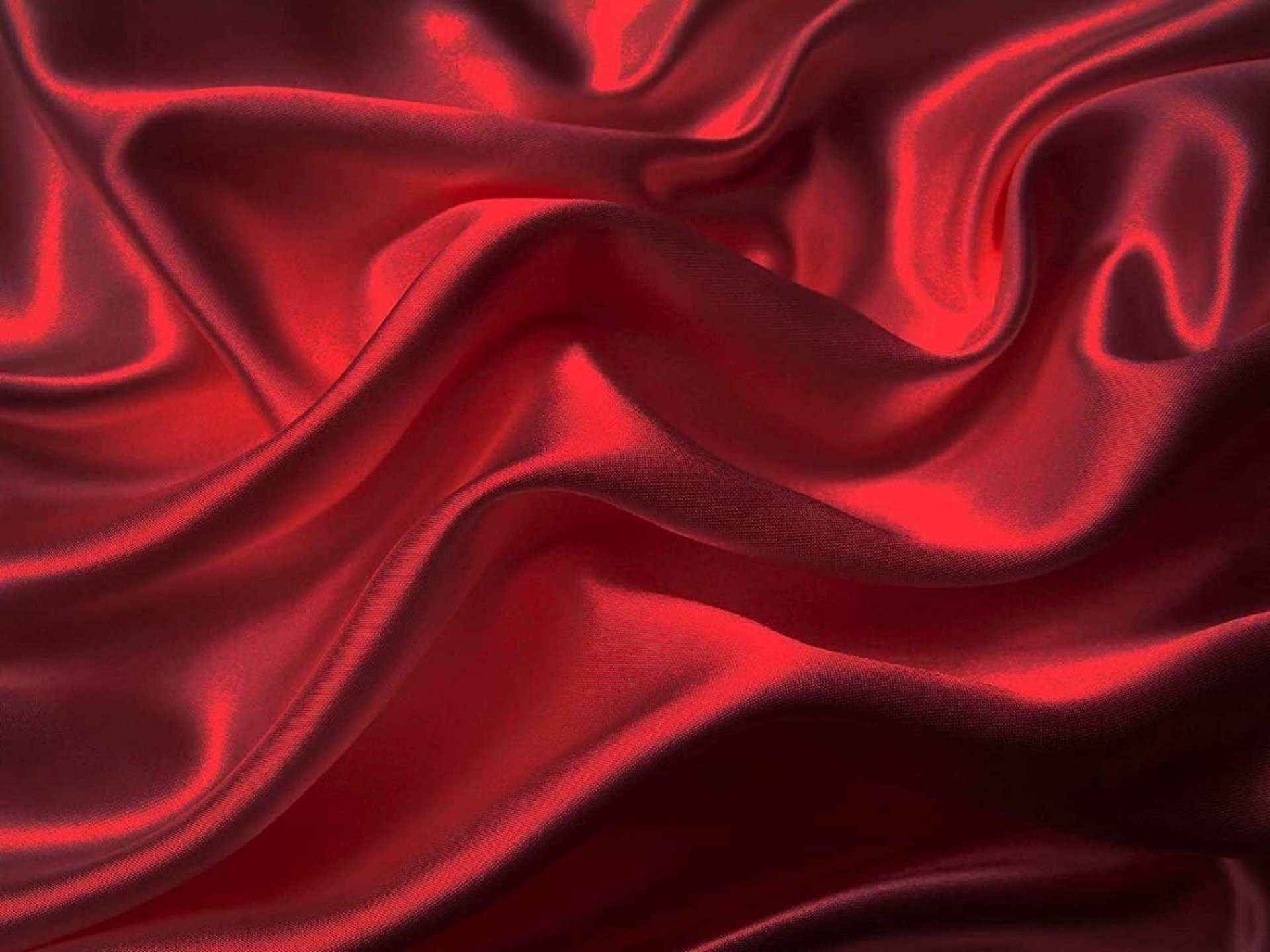 red rose with green leaves