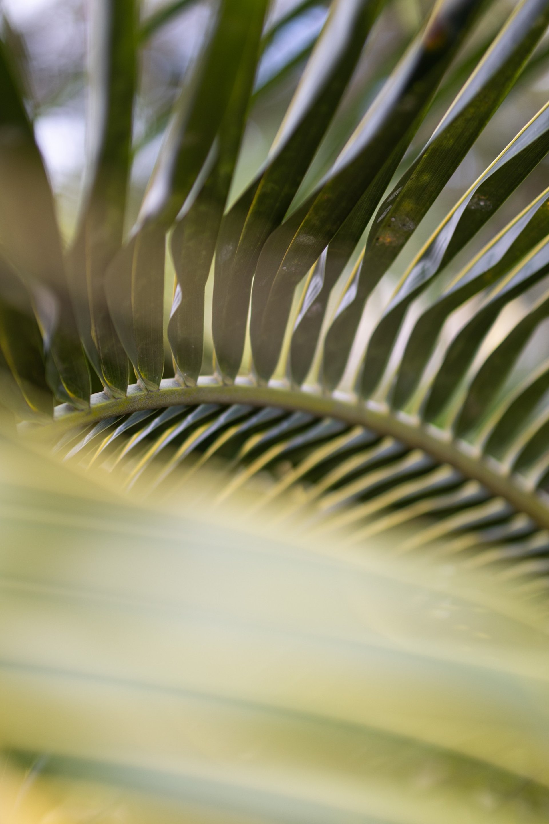 an abstract photo of a curved building with a blue sky in the background