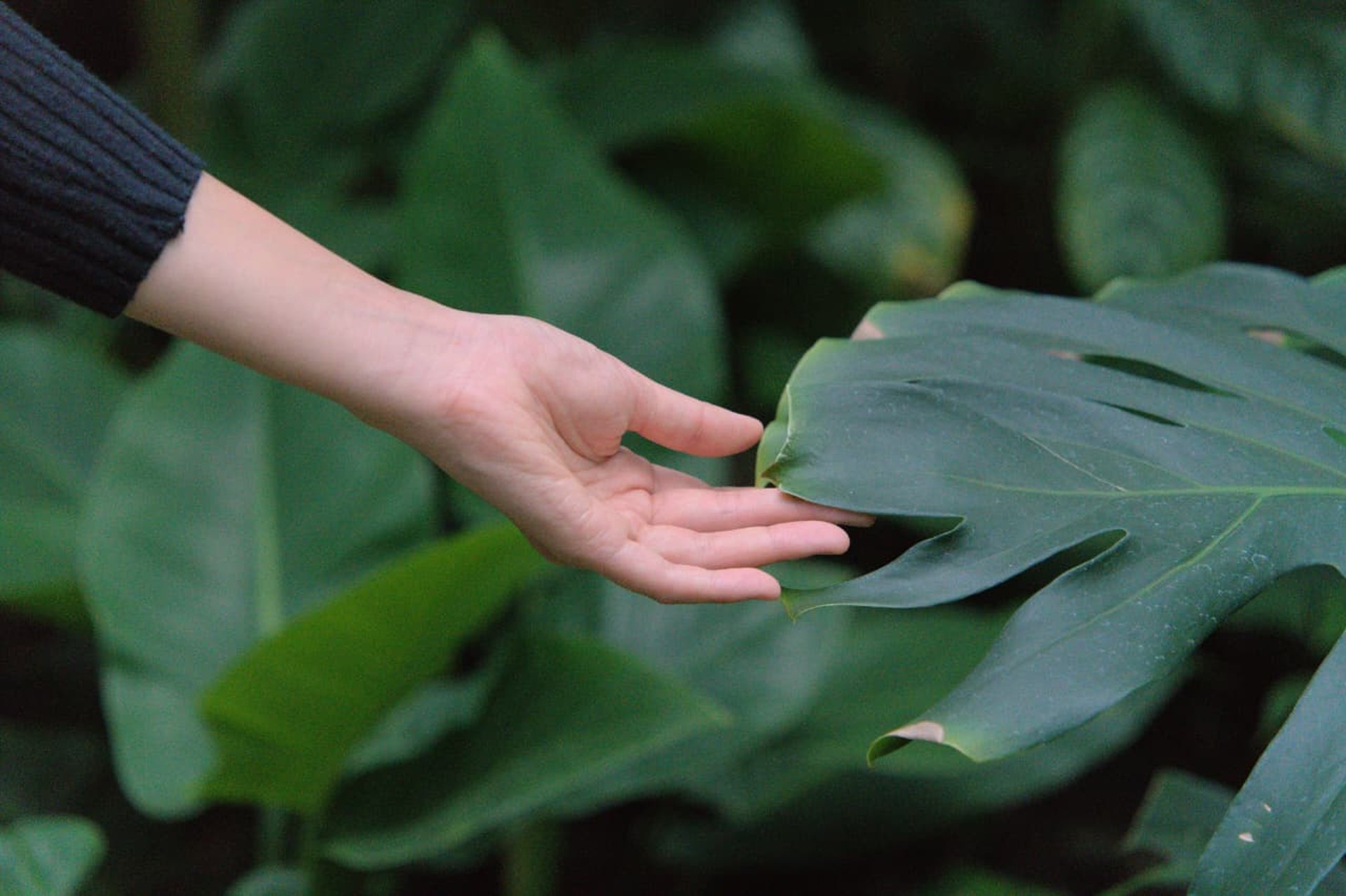 black and white bed linen