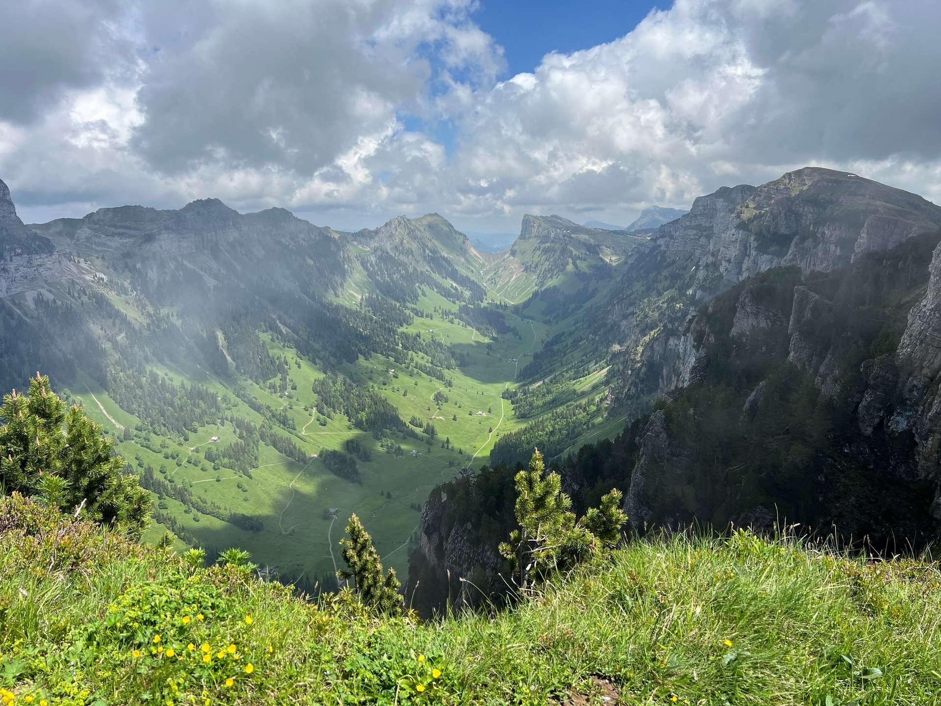 black blue and yellow textile