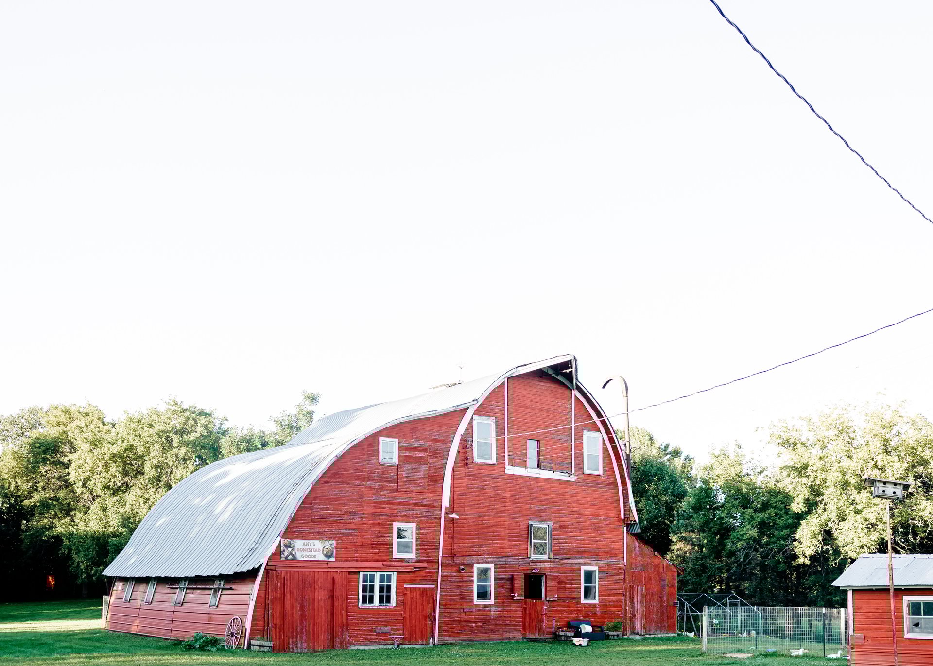 woman holding dried flower