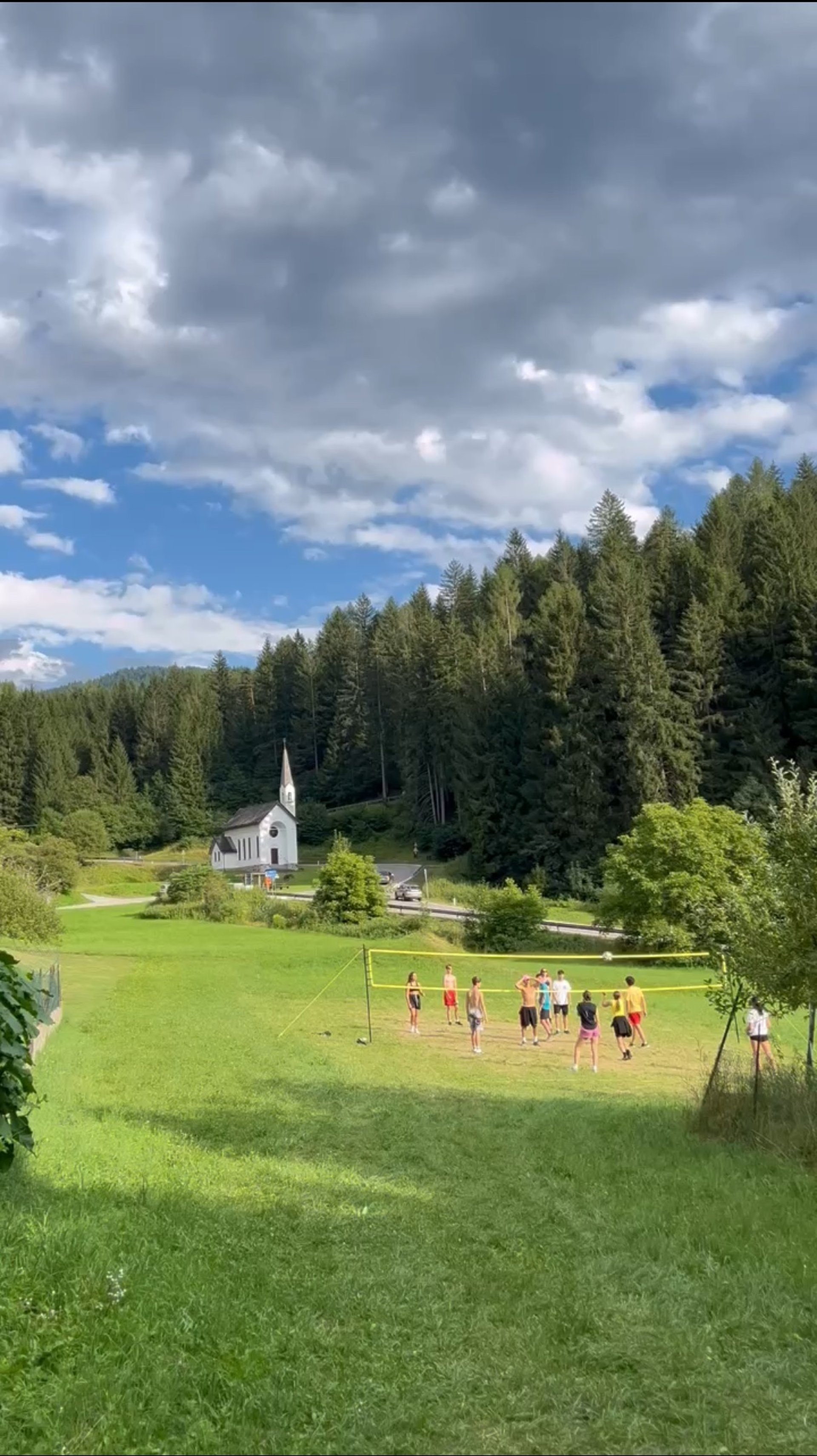 green grass field with trees