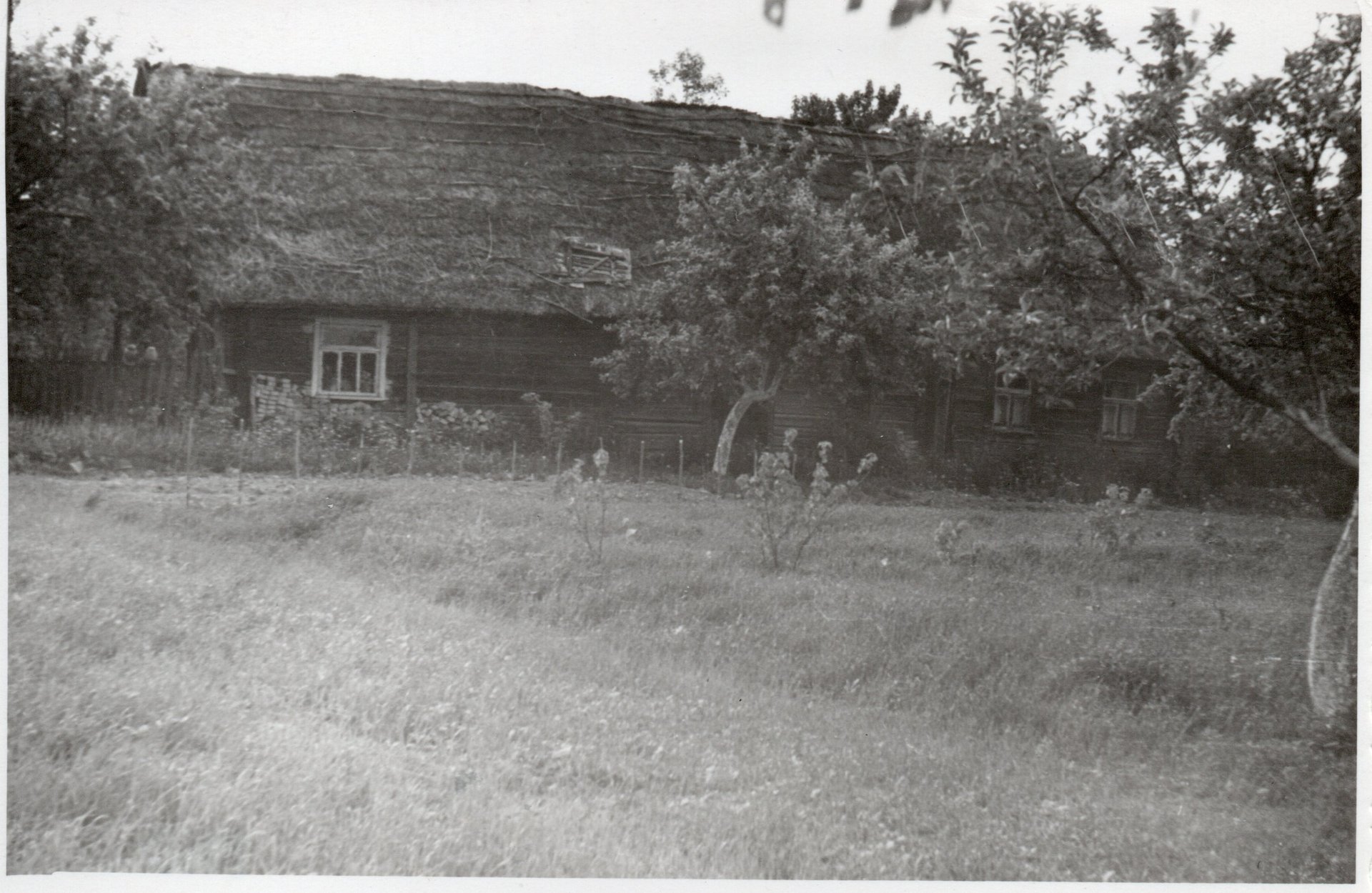 Old farm house in Kalviai village Lithuania year 1960