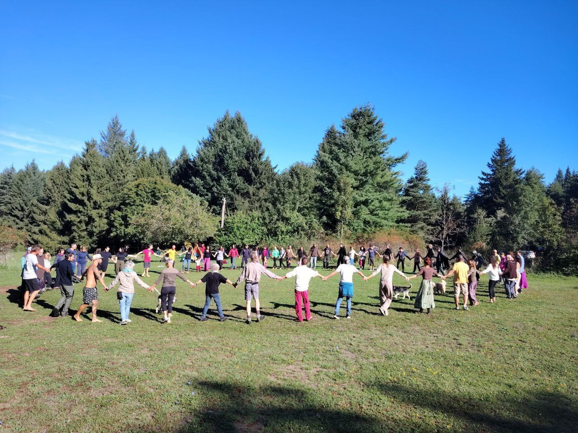 black and brown leather padded tub sofa