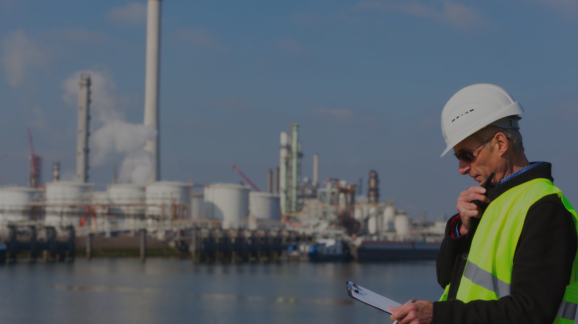 green leafed pine trees