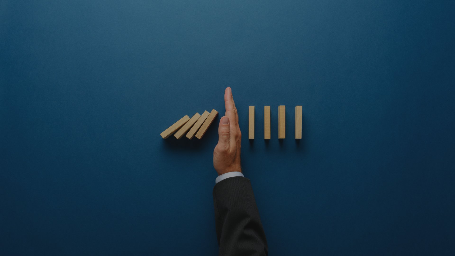 green leafed pine trees